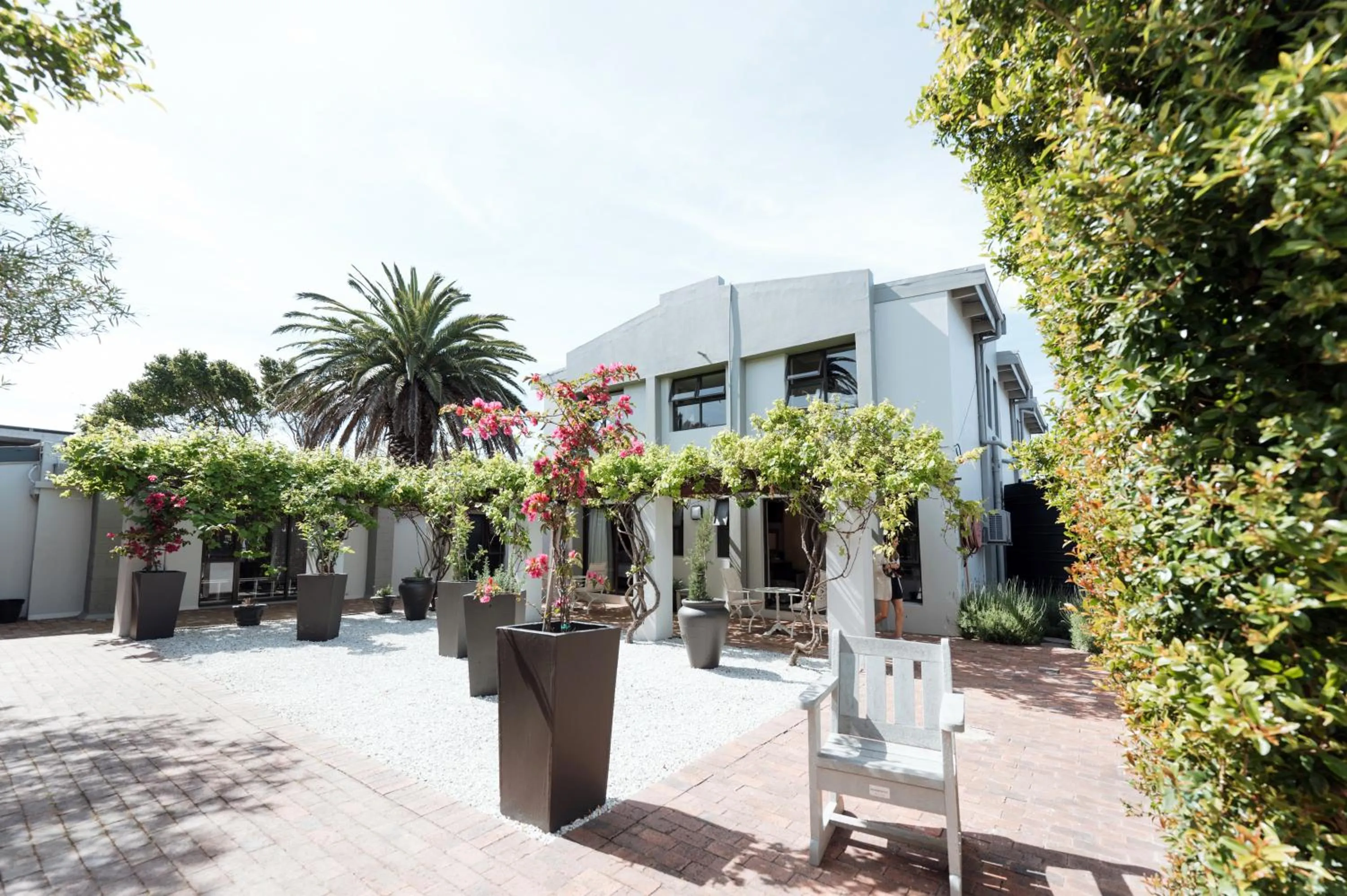 Garden in Whale Away Guest House