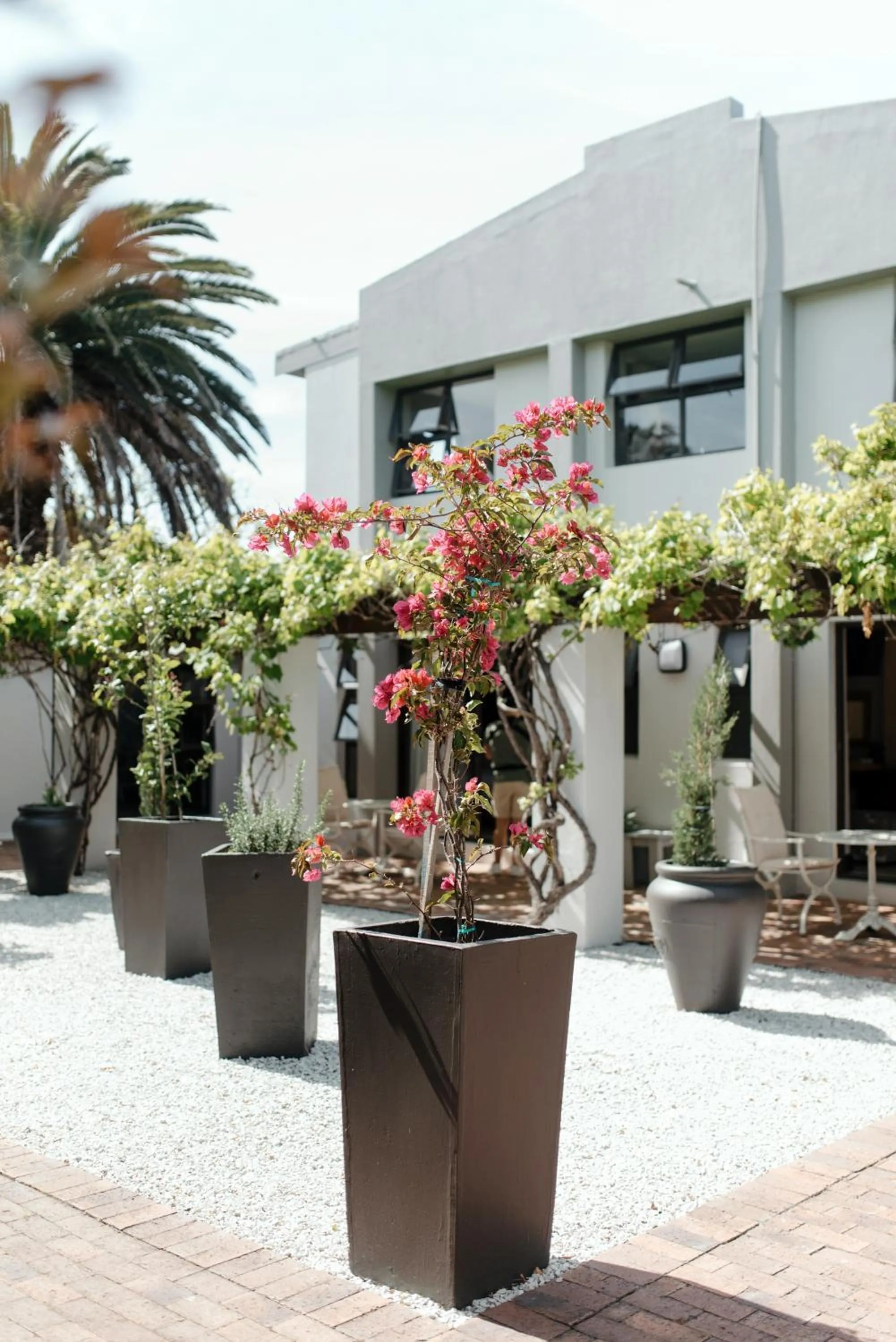 Garden in Whale Away Guest House