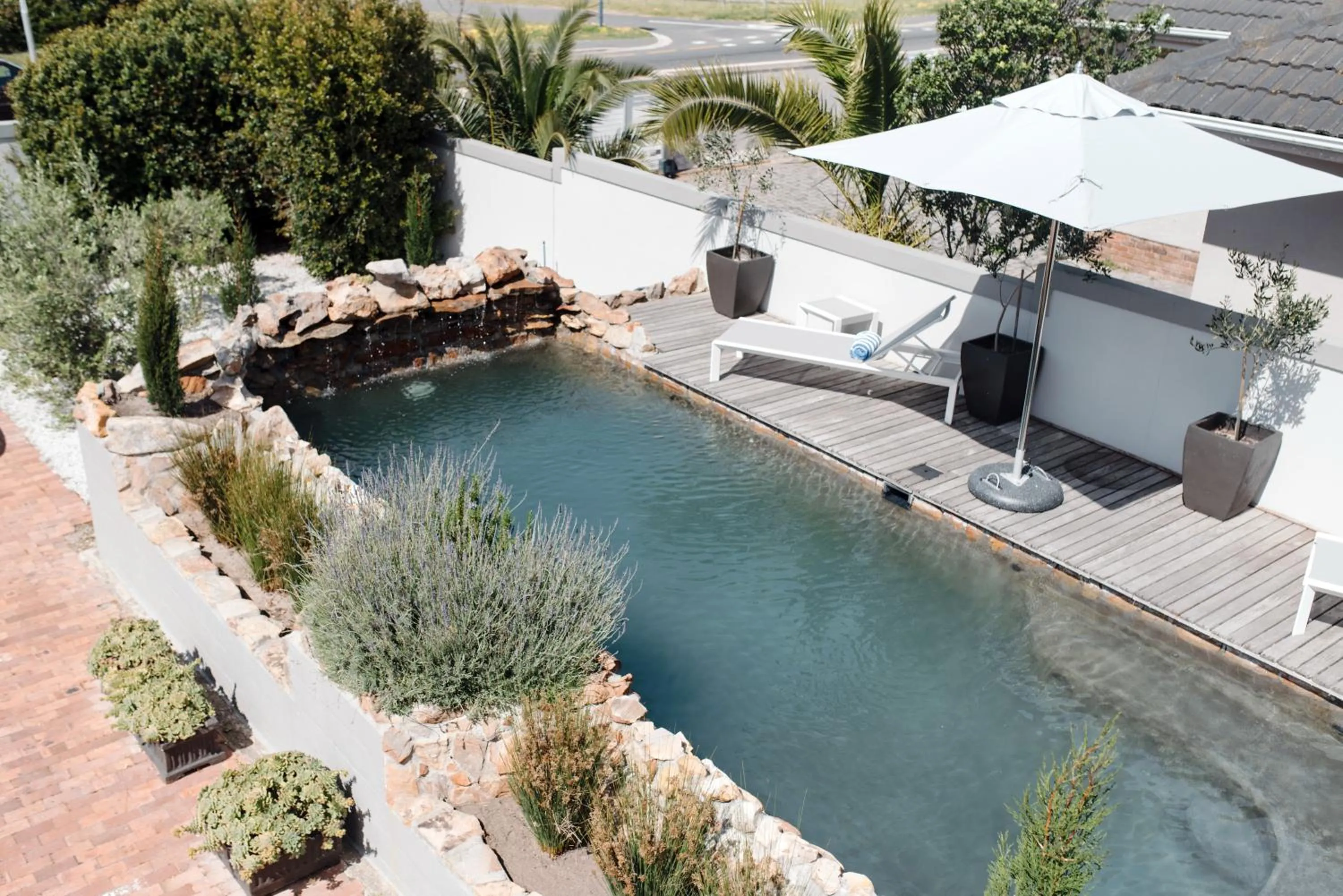 Swimming pool in Whale Away Guest House