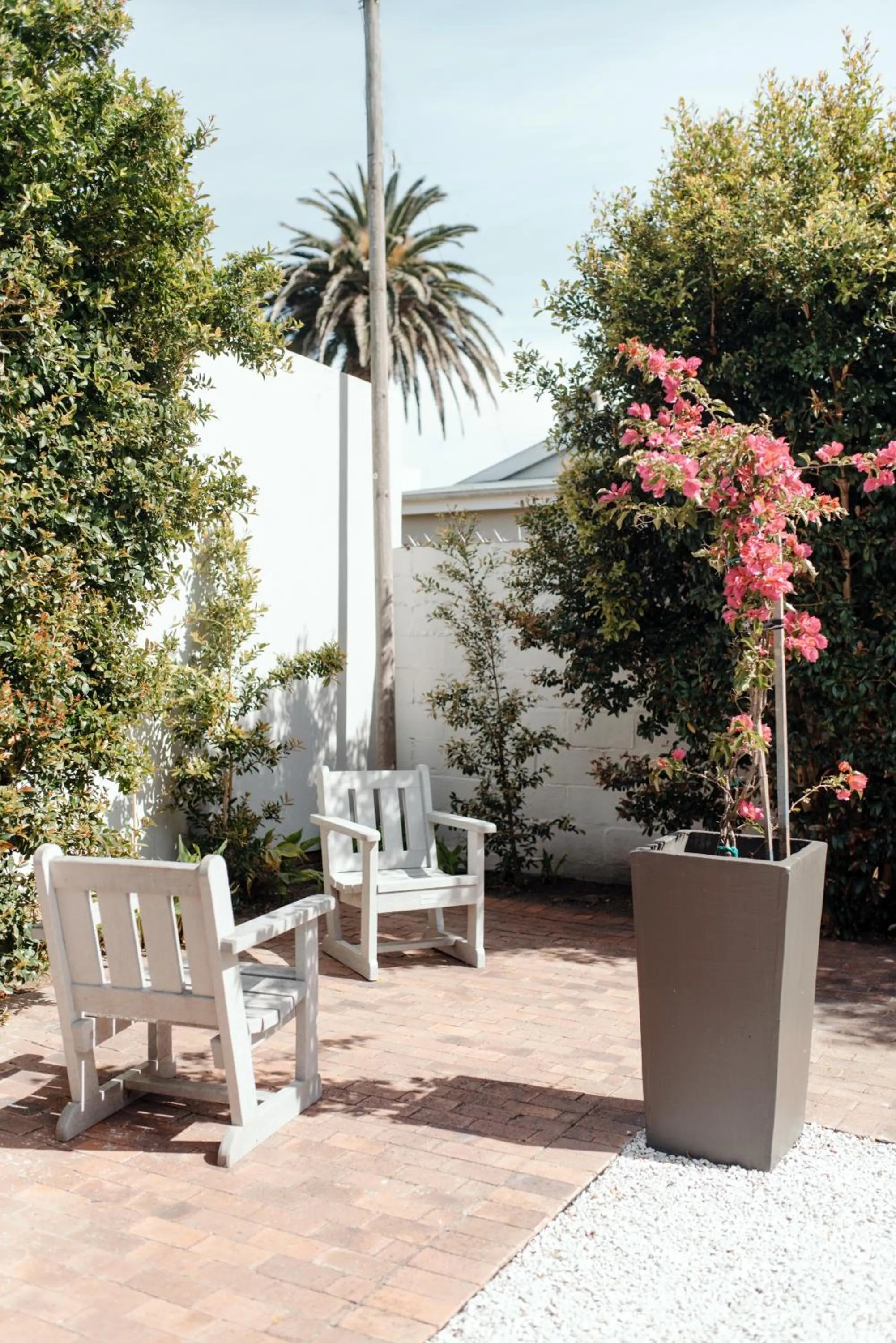 Garden in Whale Away Guest House