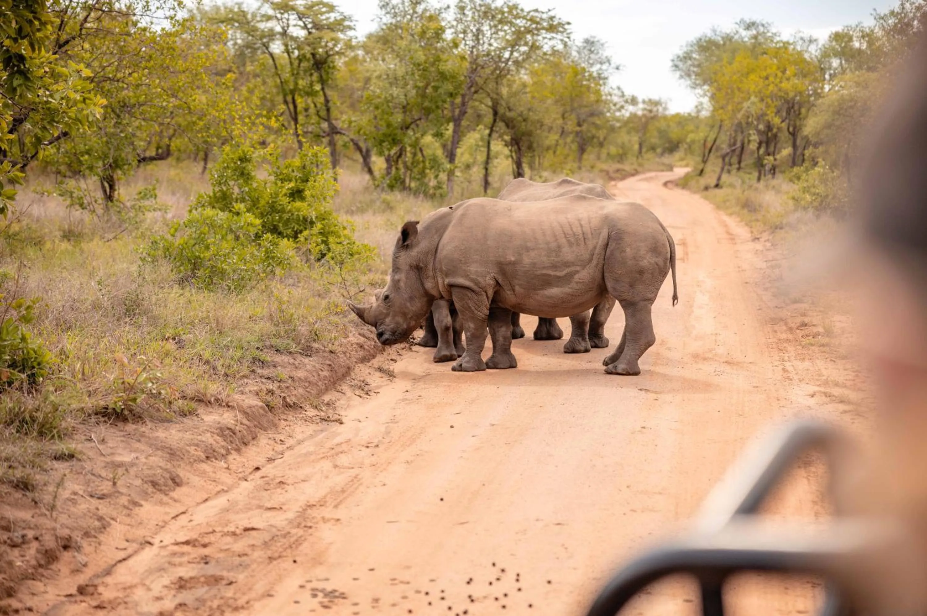 Activities in Kapama Karula