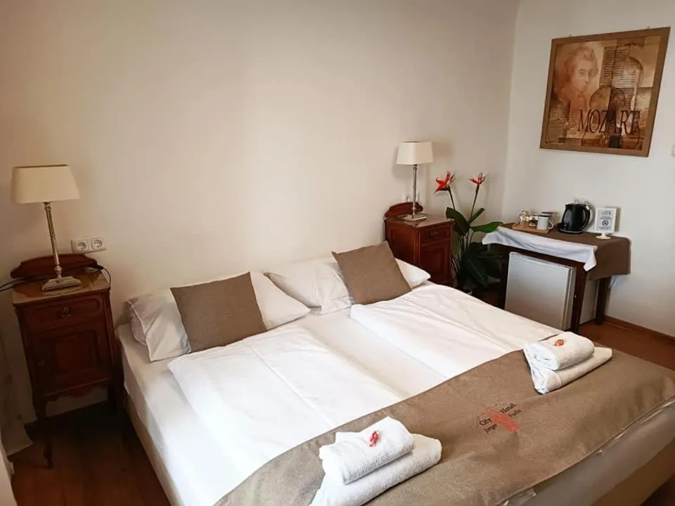 Photo of the whole room, Bed in Cityhotel Junger Fuchs