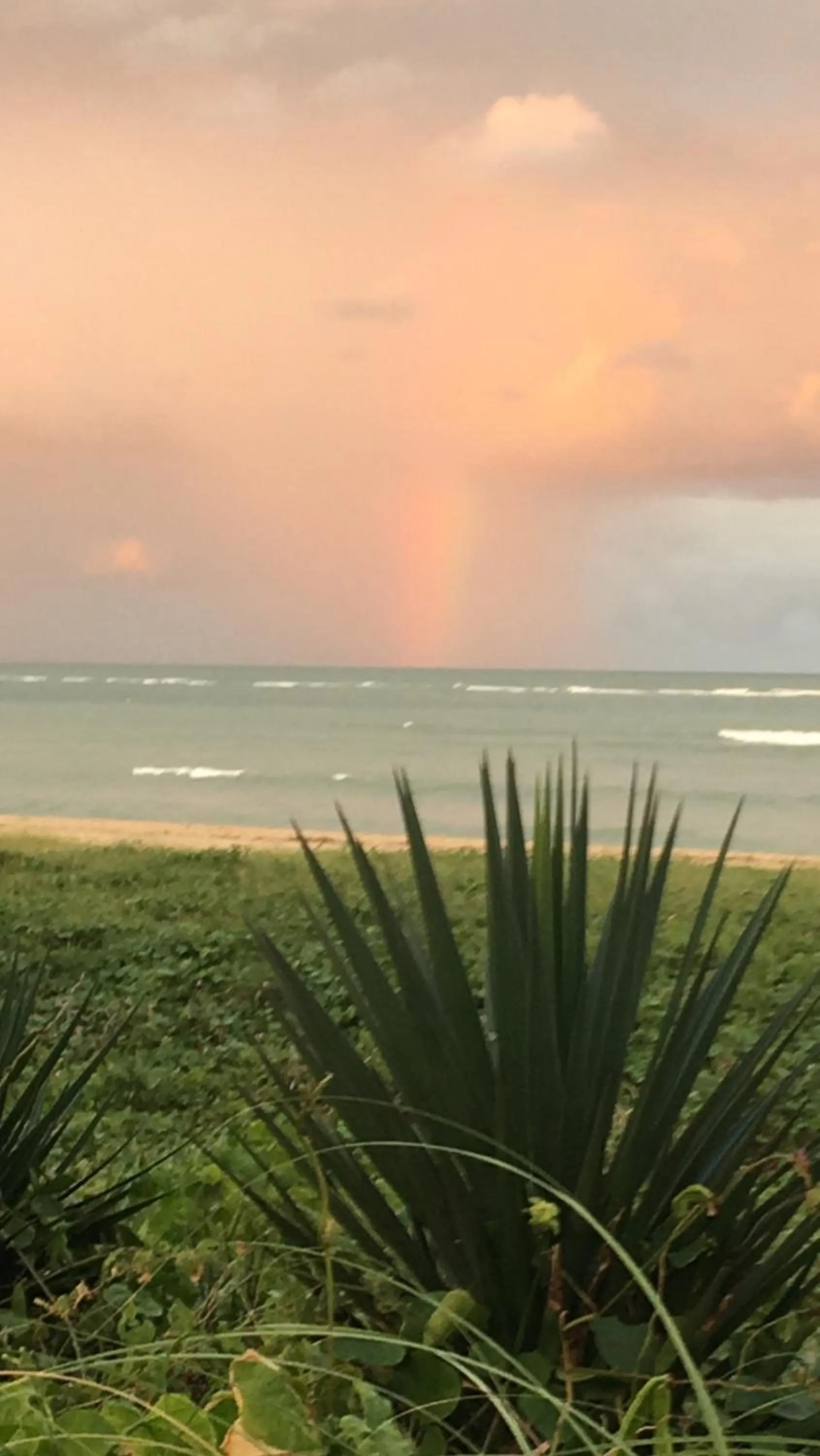 Natural landscape in NUMAR Hotel