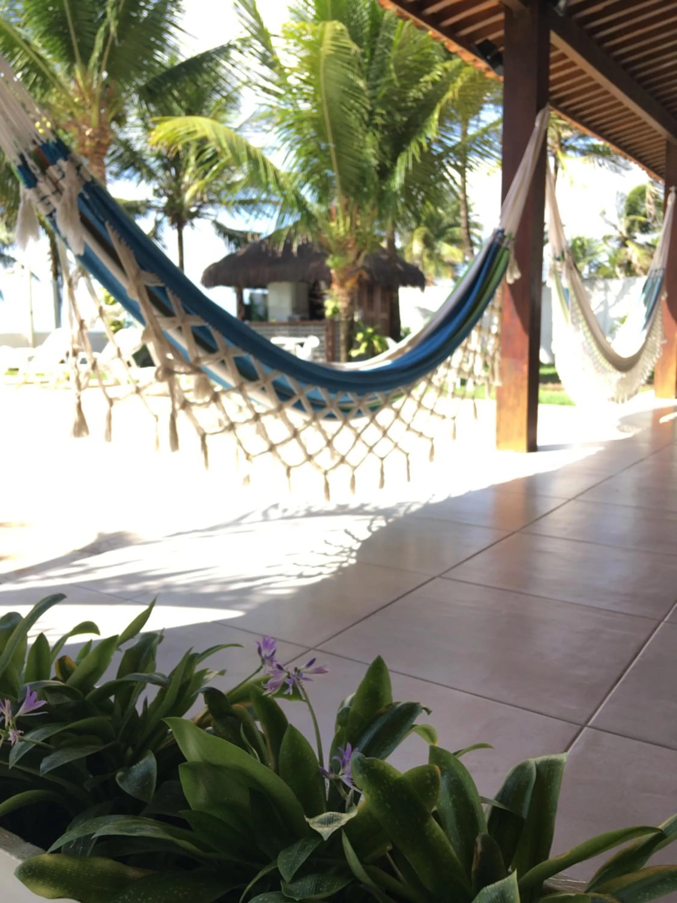 Balcony/Terrace in NUMAR Hotel