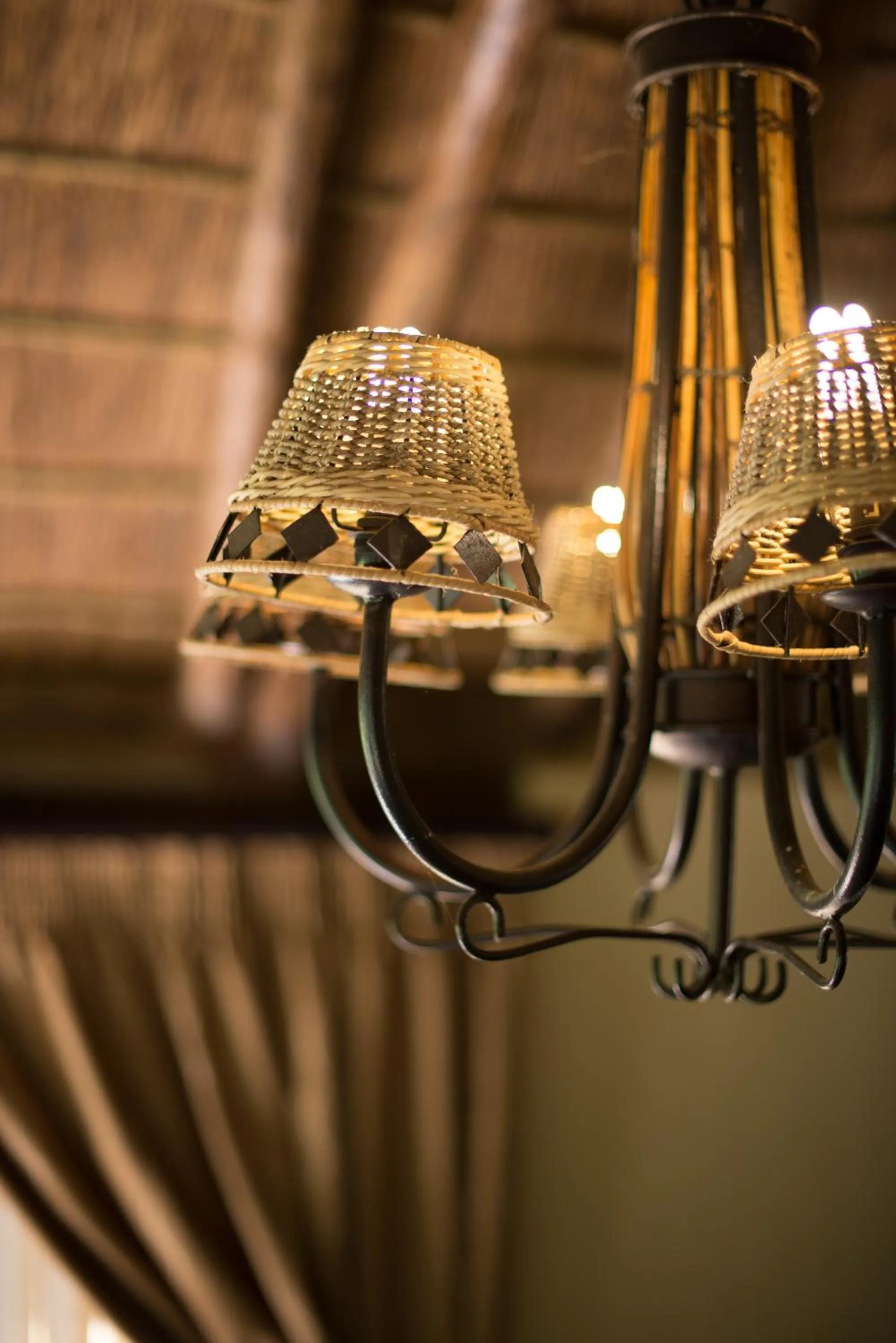 Decorative detail in Premier Resort Mpongo Private Game Reserve