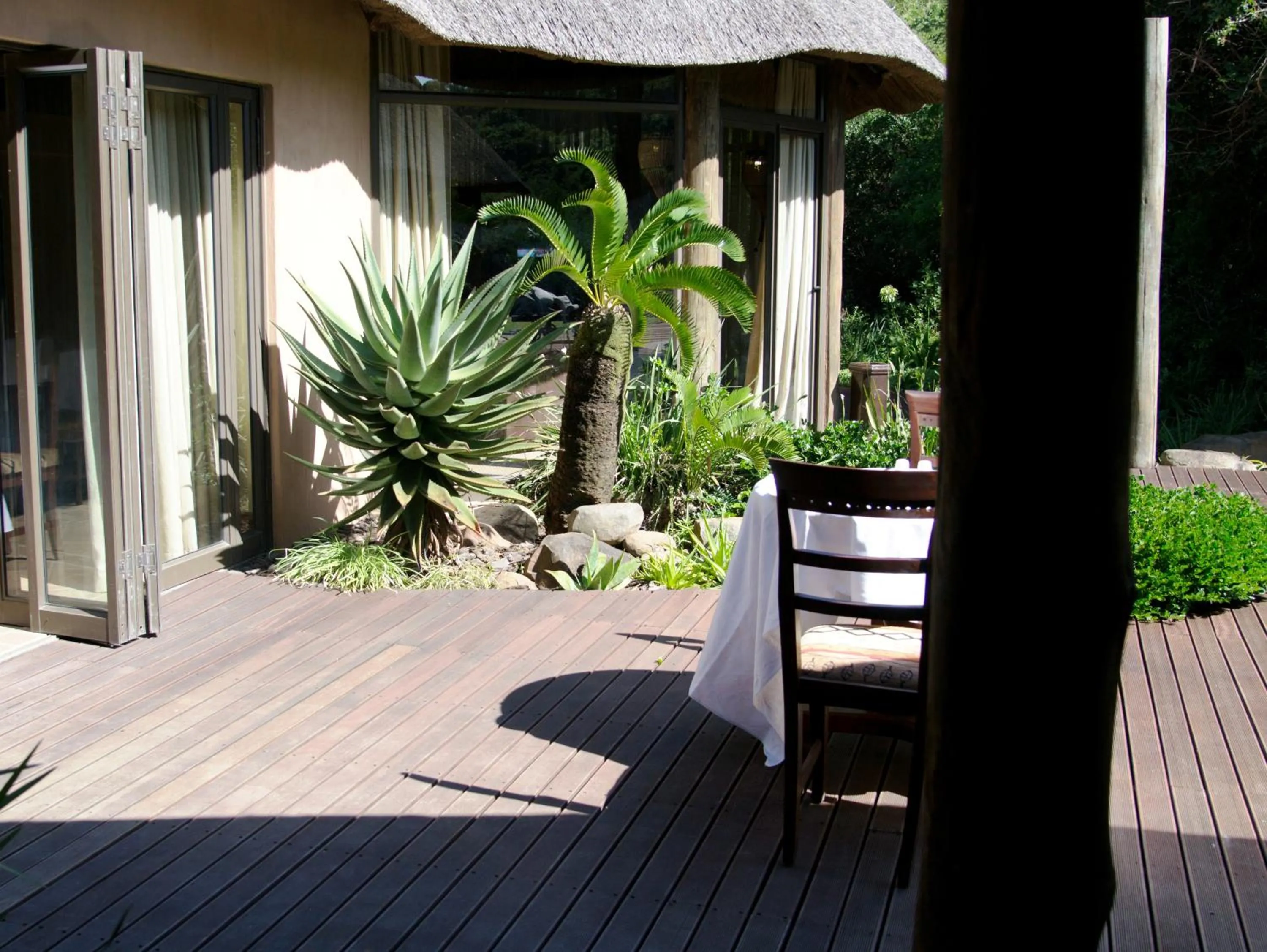 Patio in Premier Resort Mpongo Private Game Reserve