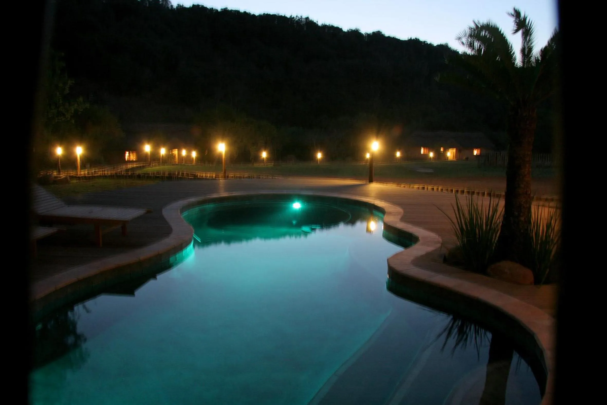 Pool view in Premier Resort Mpongo Private Game Reserve