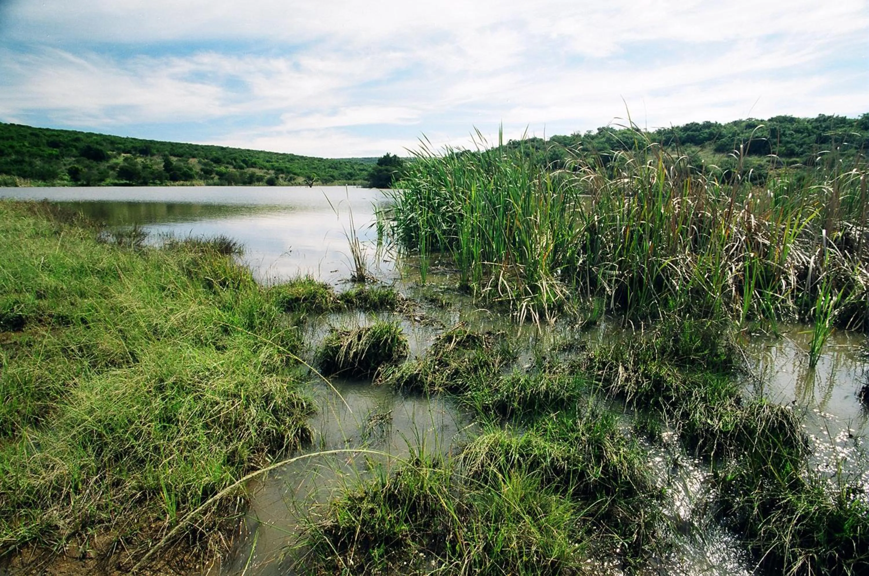 Natural landscape in Premier Resort Mpongo Private Game Reserve