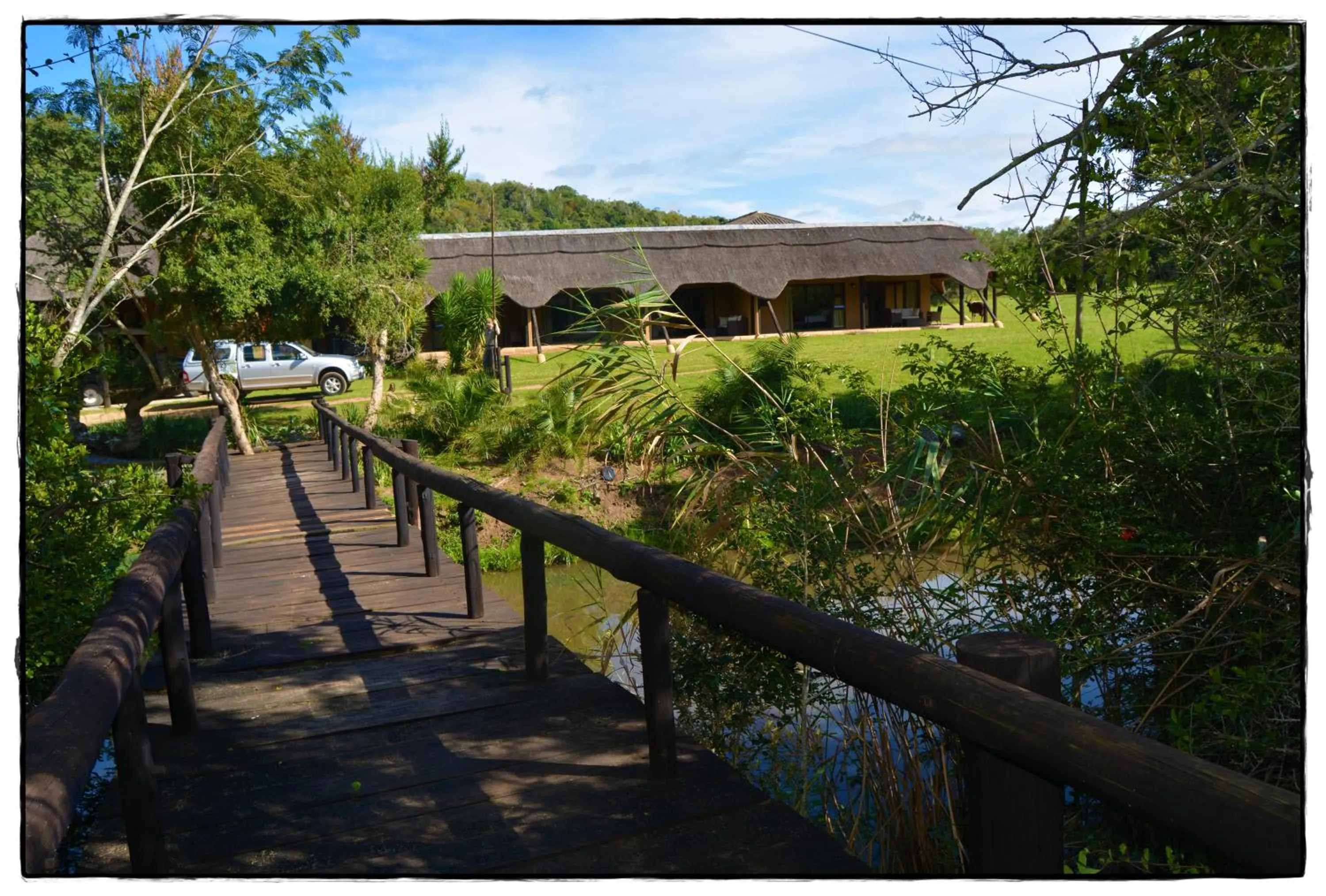 Garden in Premier Resort Mpongo Private Game Reserve