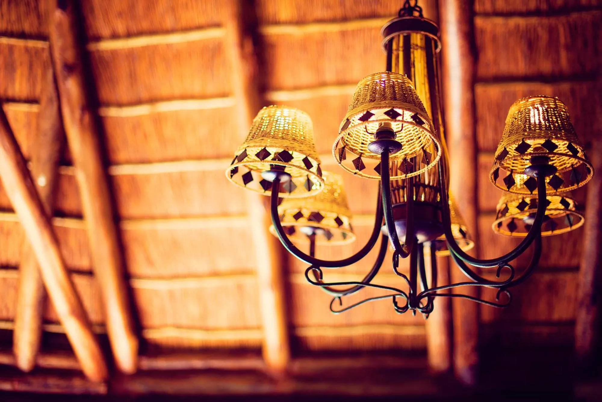 Decorative detail in Premier Resort Mpongo Private Game Reserve