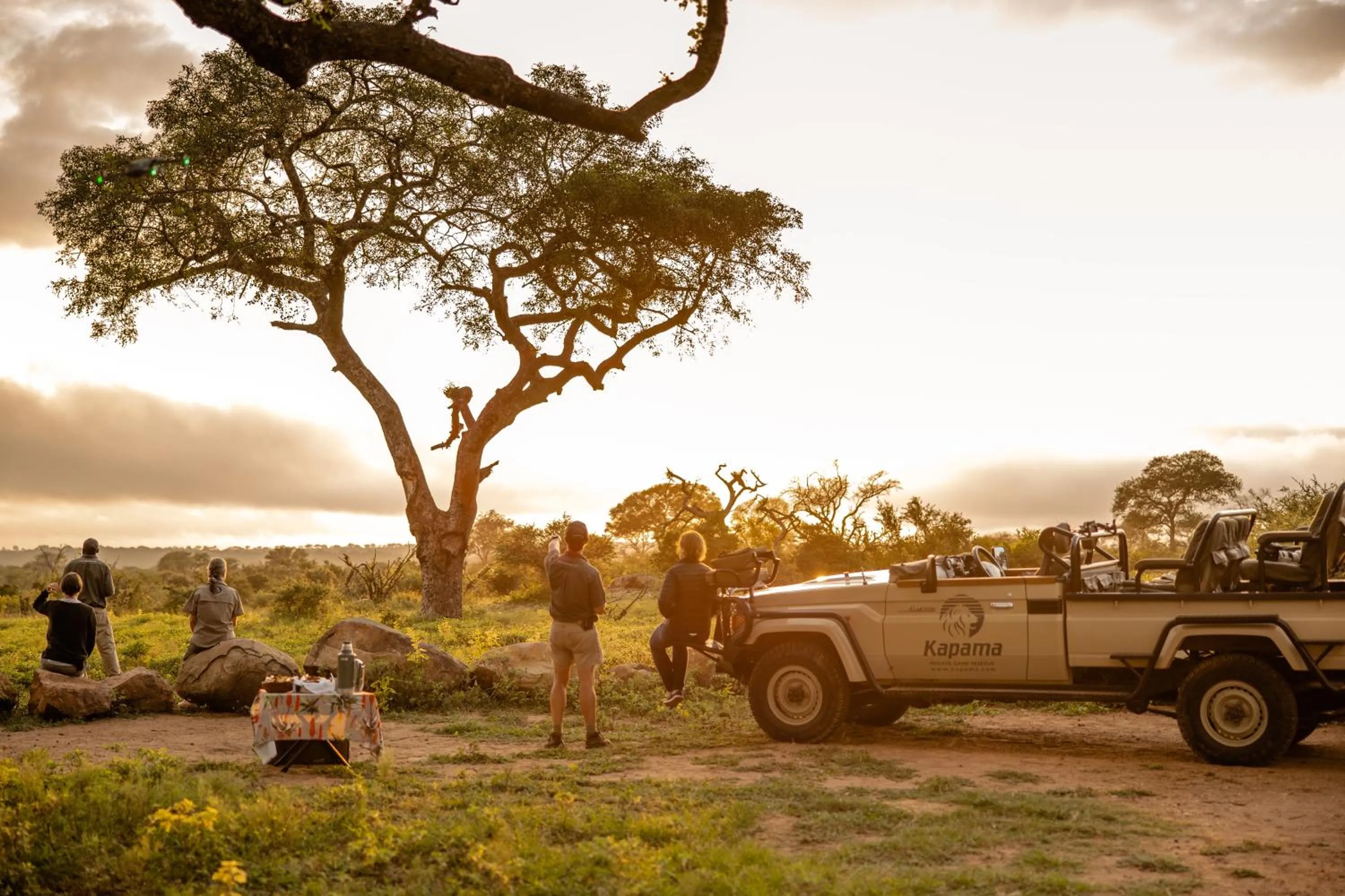 Activities in Kapama River Lodge