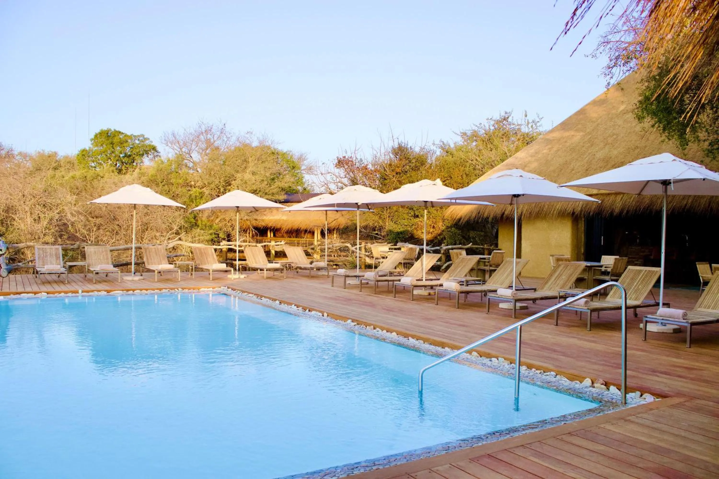 Swimming pool in Kapama River Lodge