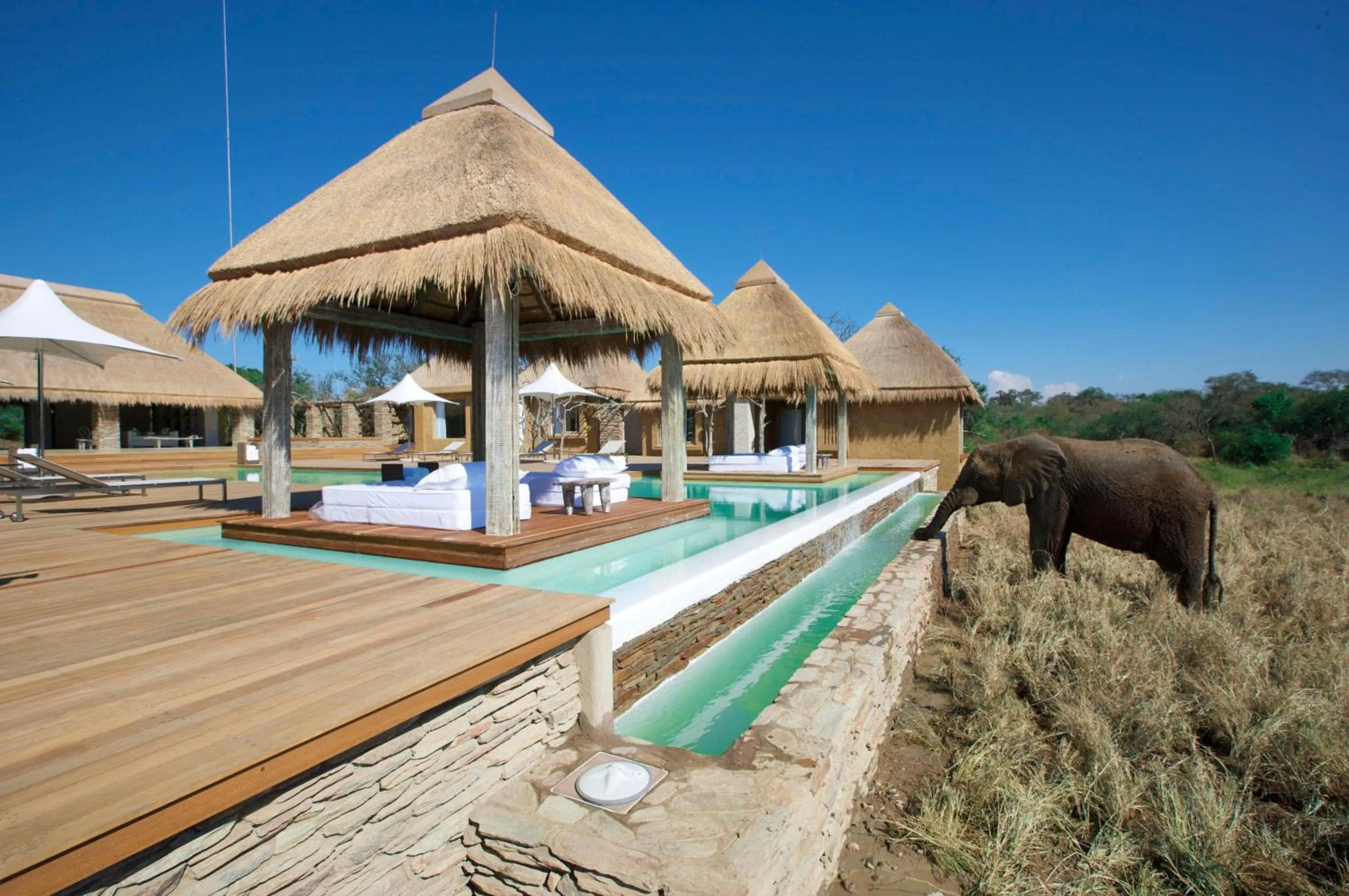 Spa and wellness centre/facilities in Kapama River Lodge