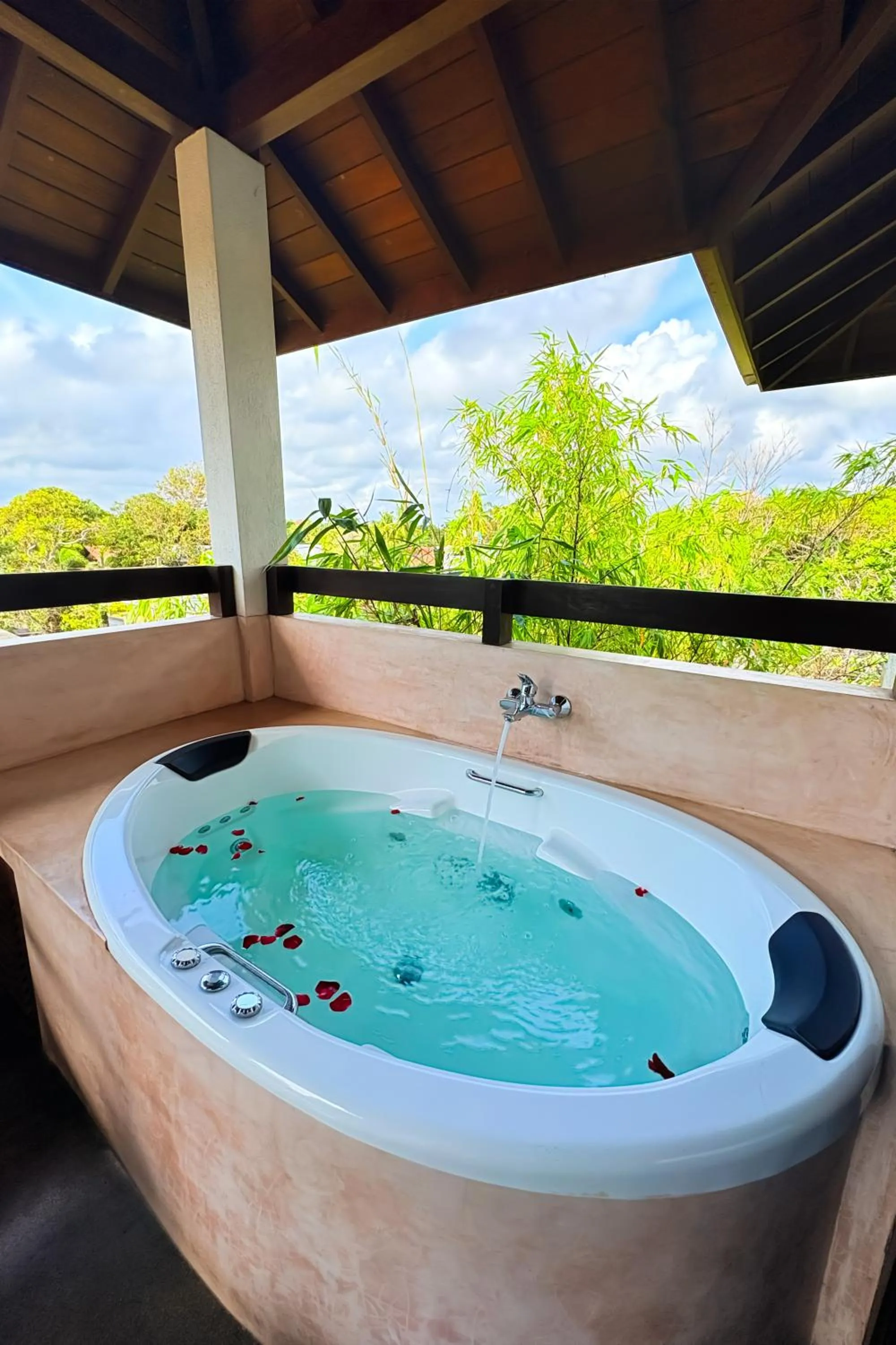 Hot Tub in Terrace Green Hotel and Spa - Free Airport Shuttle Service