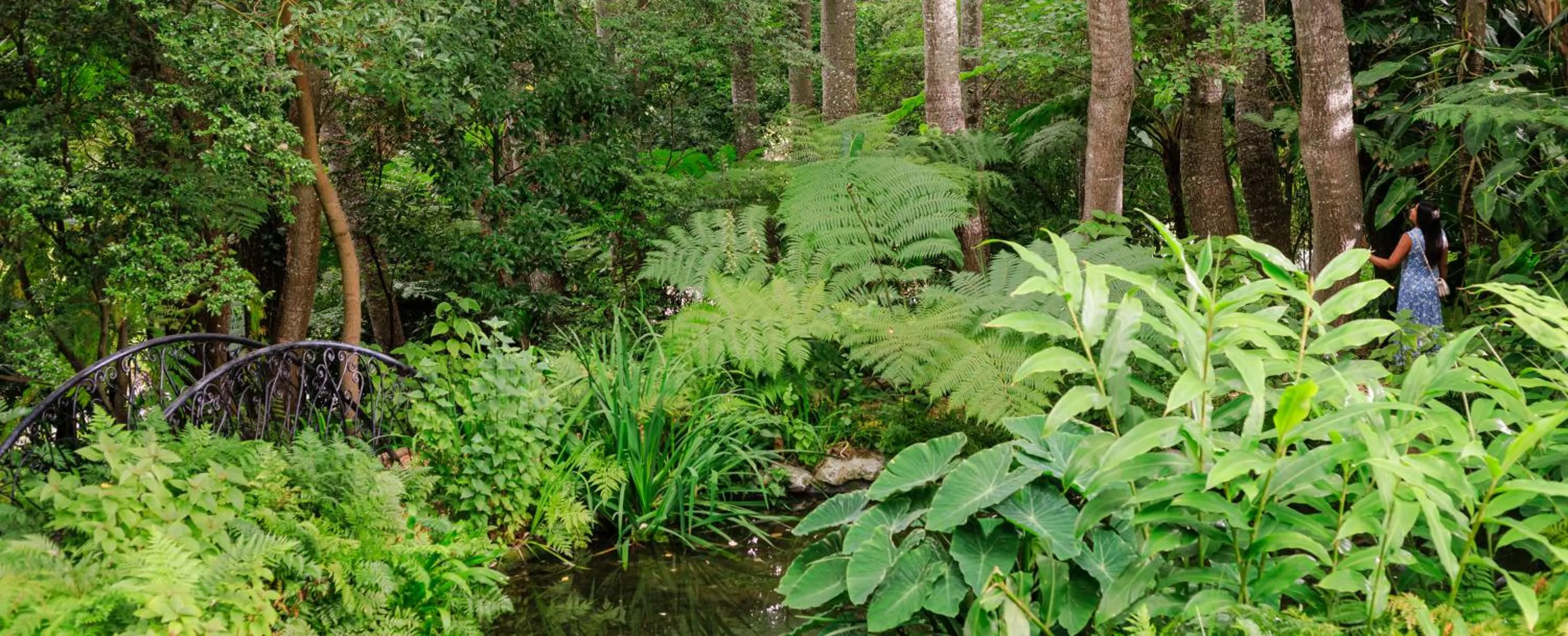 Garden in The Cellars-Hohenort