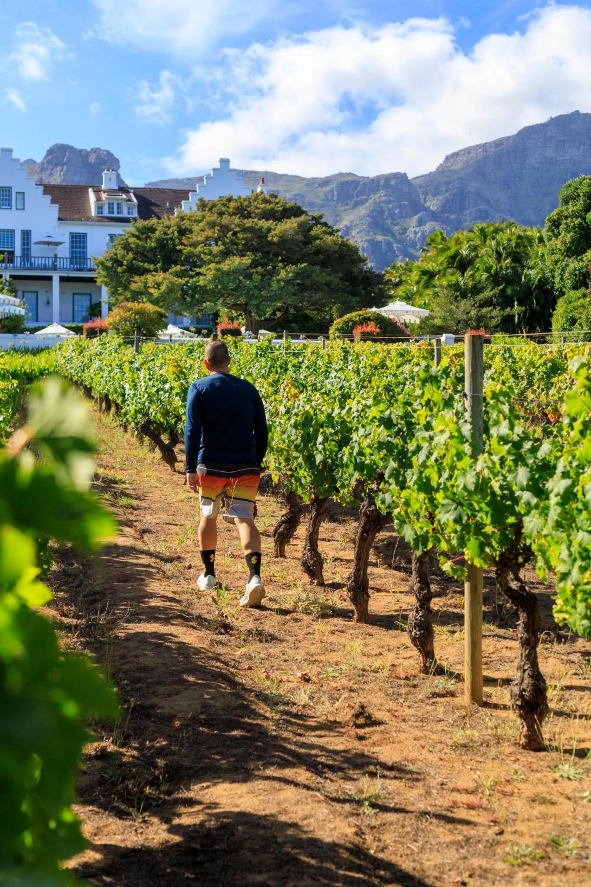 Garden in The Cellars-Hohenort