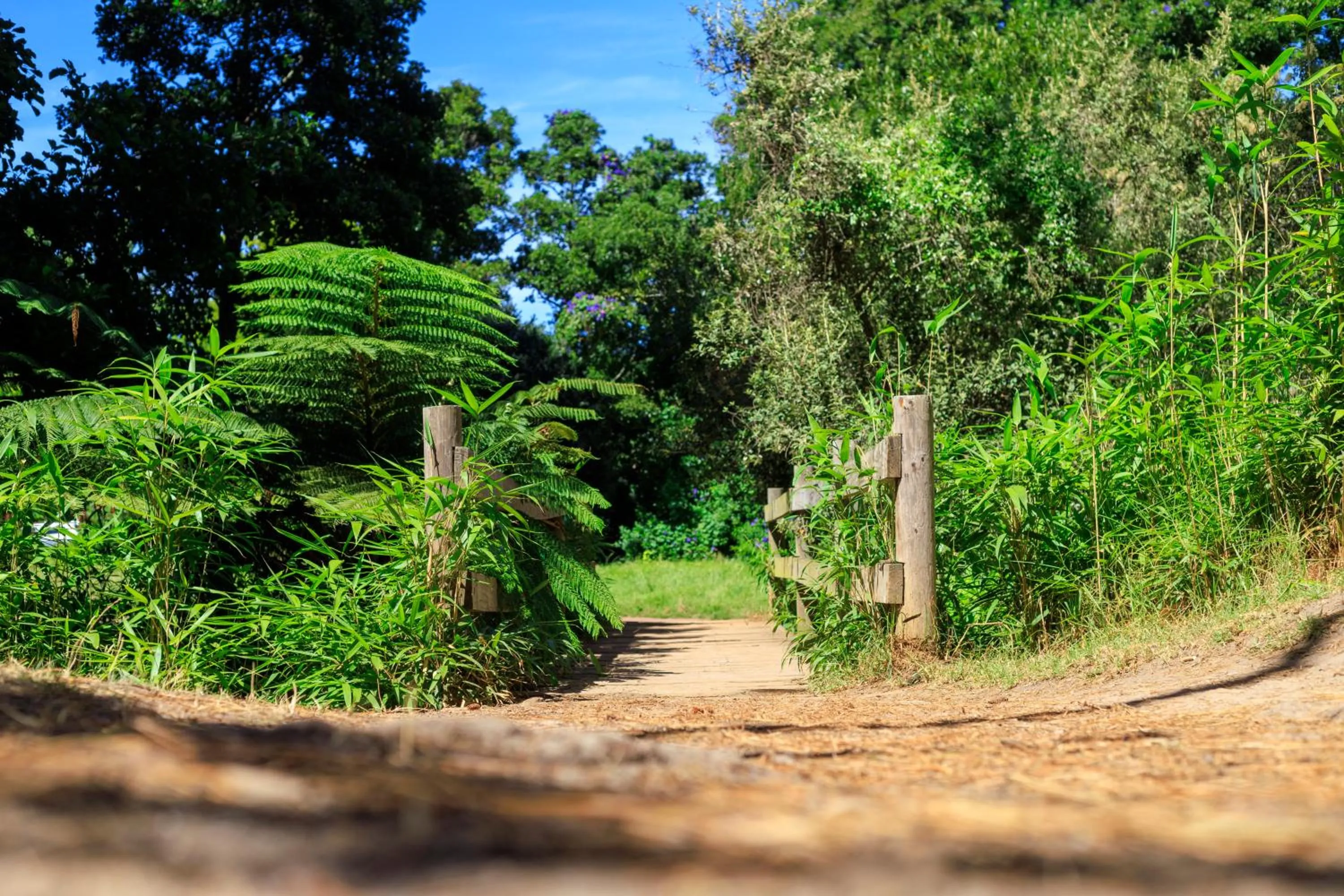 Natural landscape in The Cellars-Hohenort