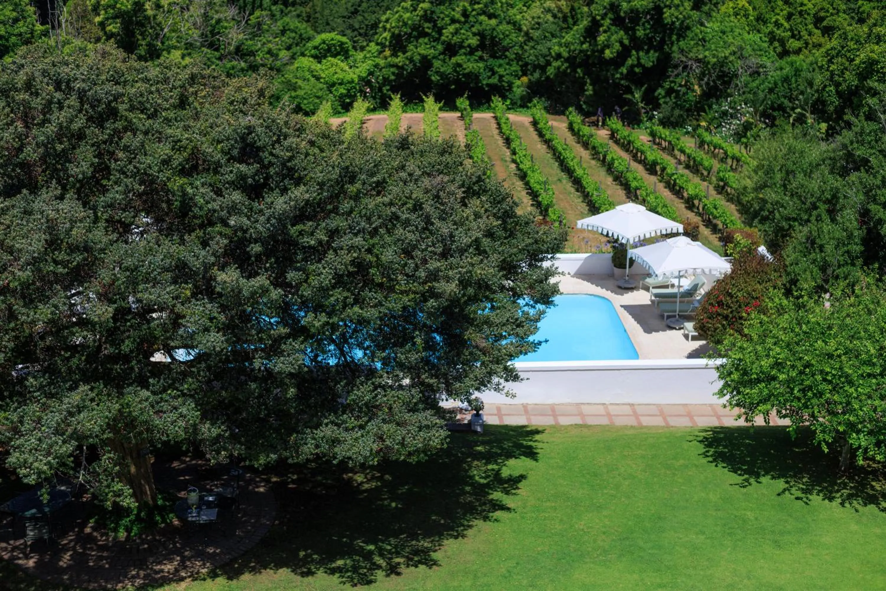 Garden in The Cellars-Hohenort