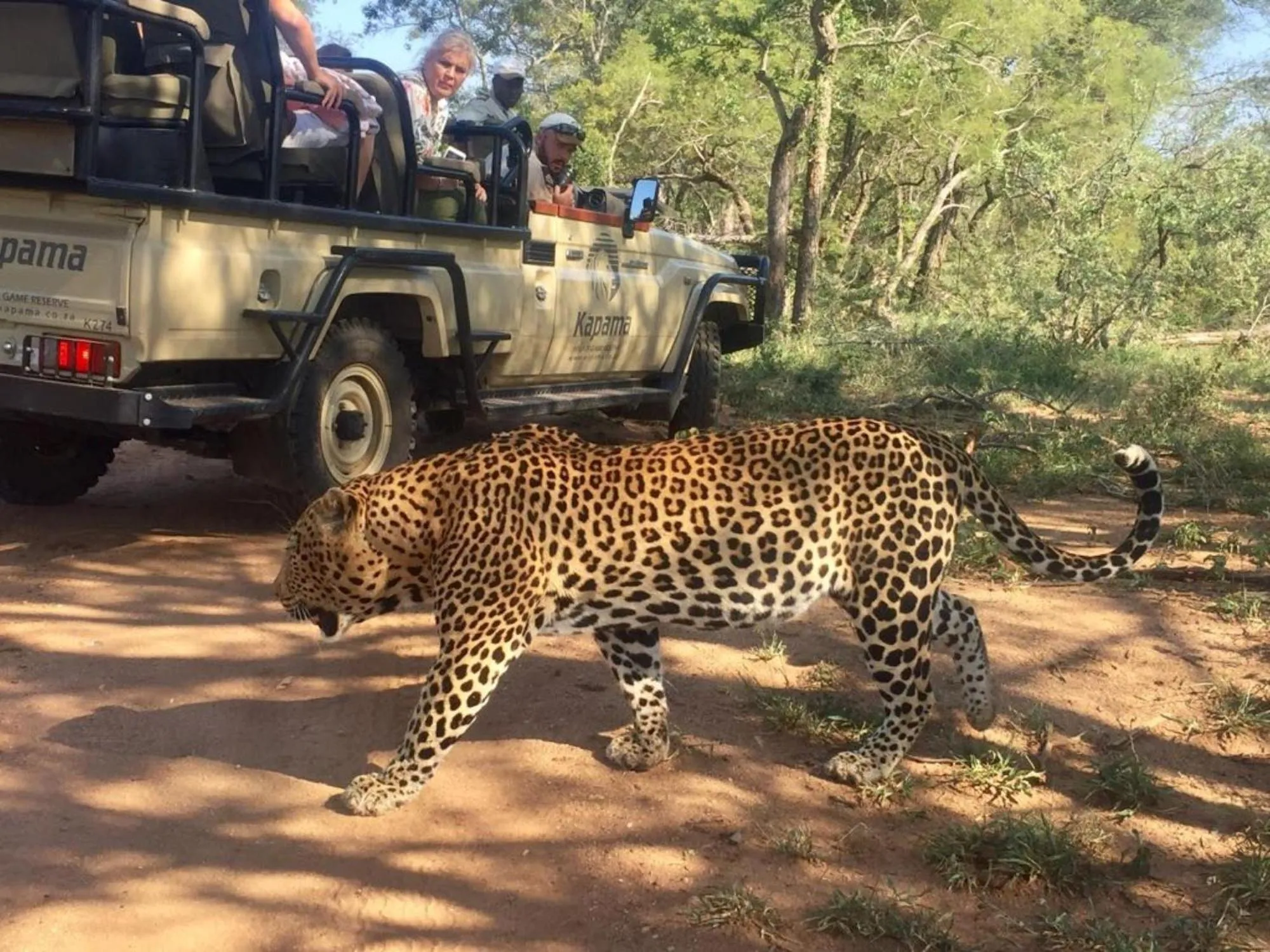 Activities in Kapama Buffalo Camp