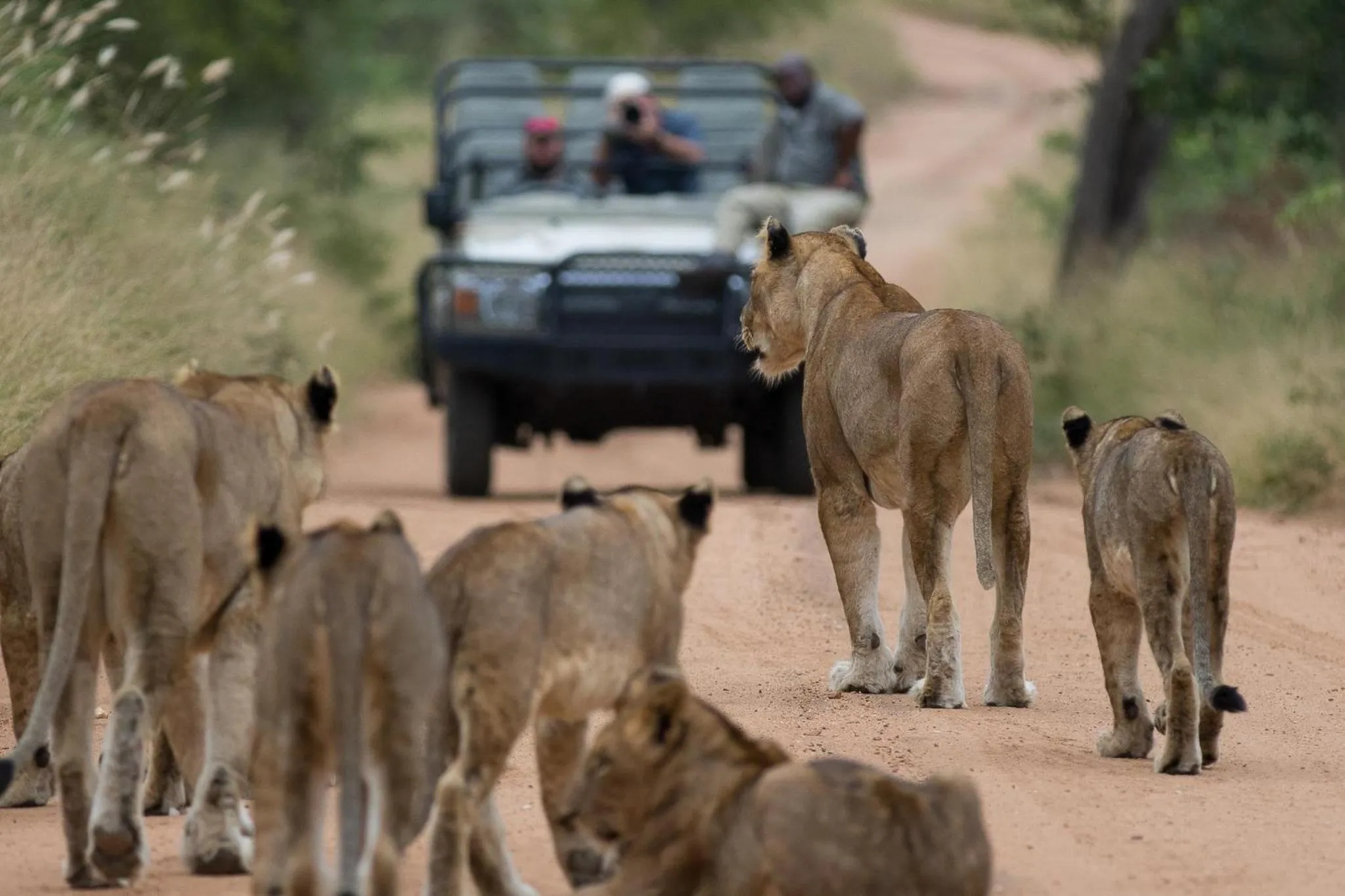 Activities in Kapama Buffalo Camp