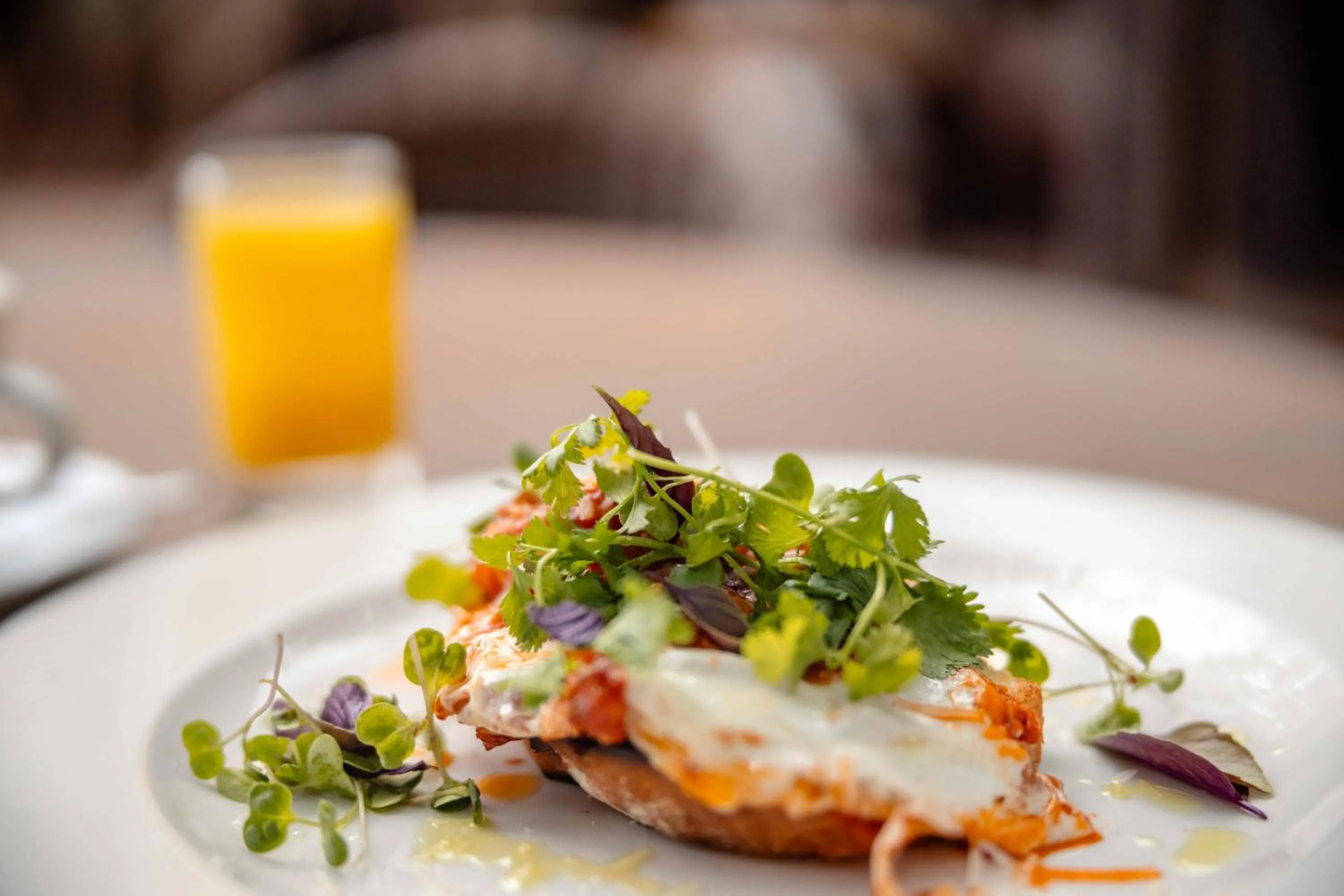 Food and drinks in Kapama Buffalo Camp