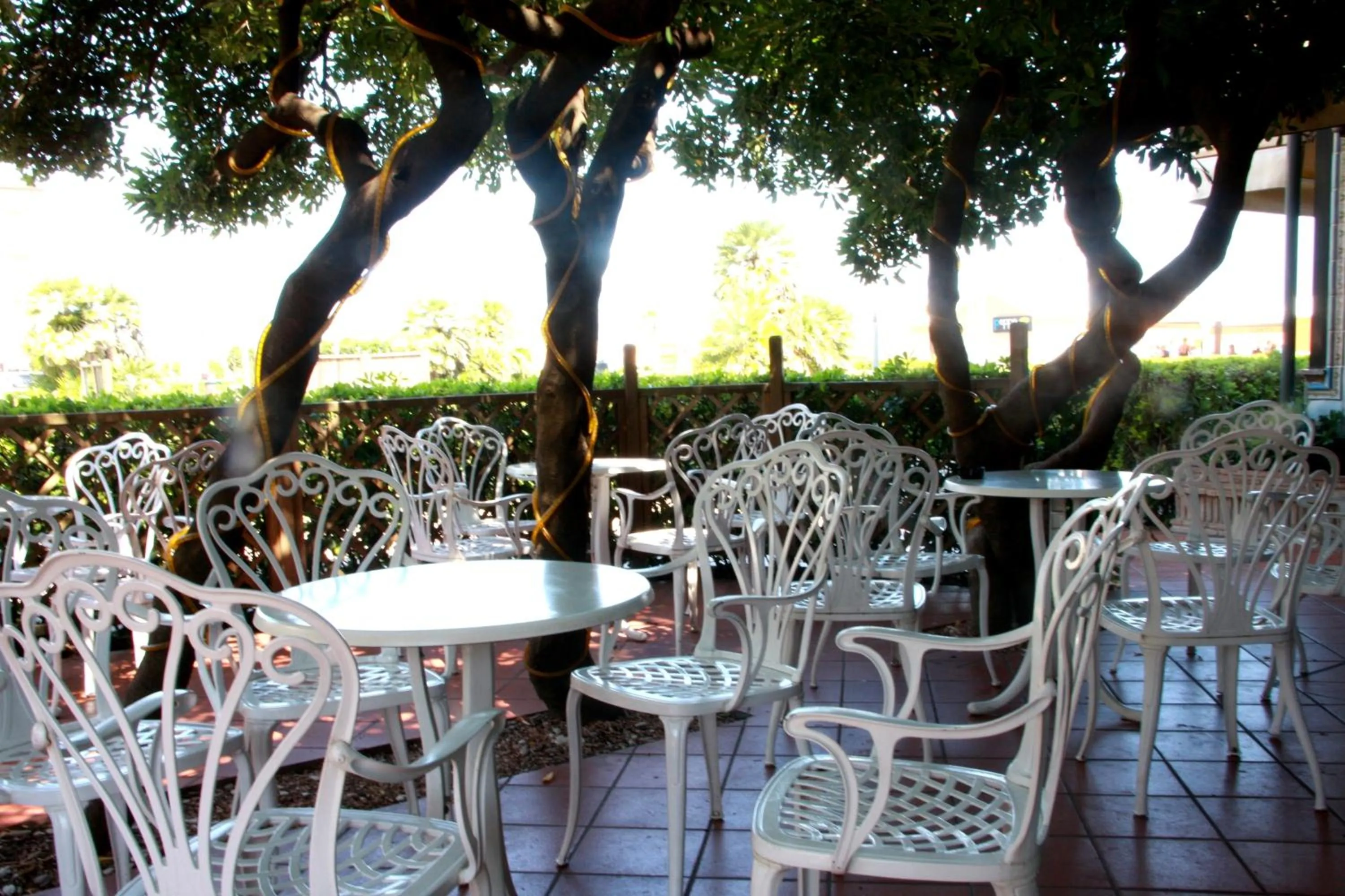 Garden in Hotel Angela