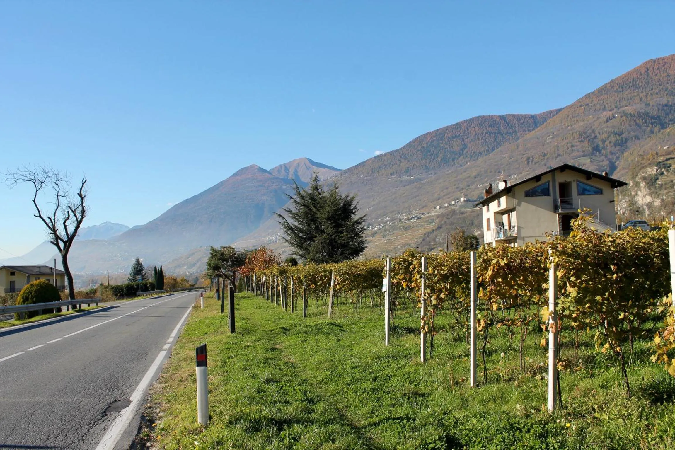 Property building in B&B Valtellina Mon Amour