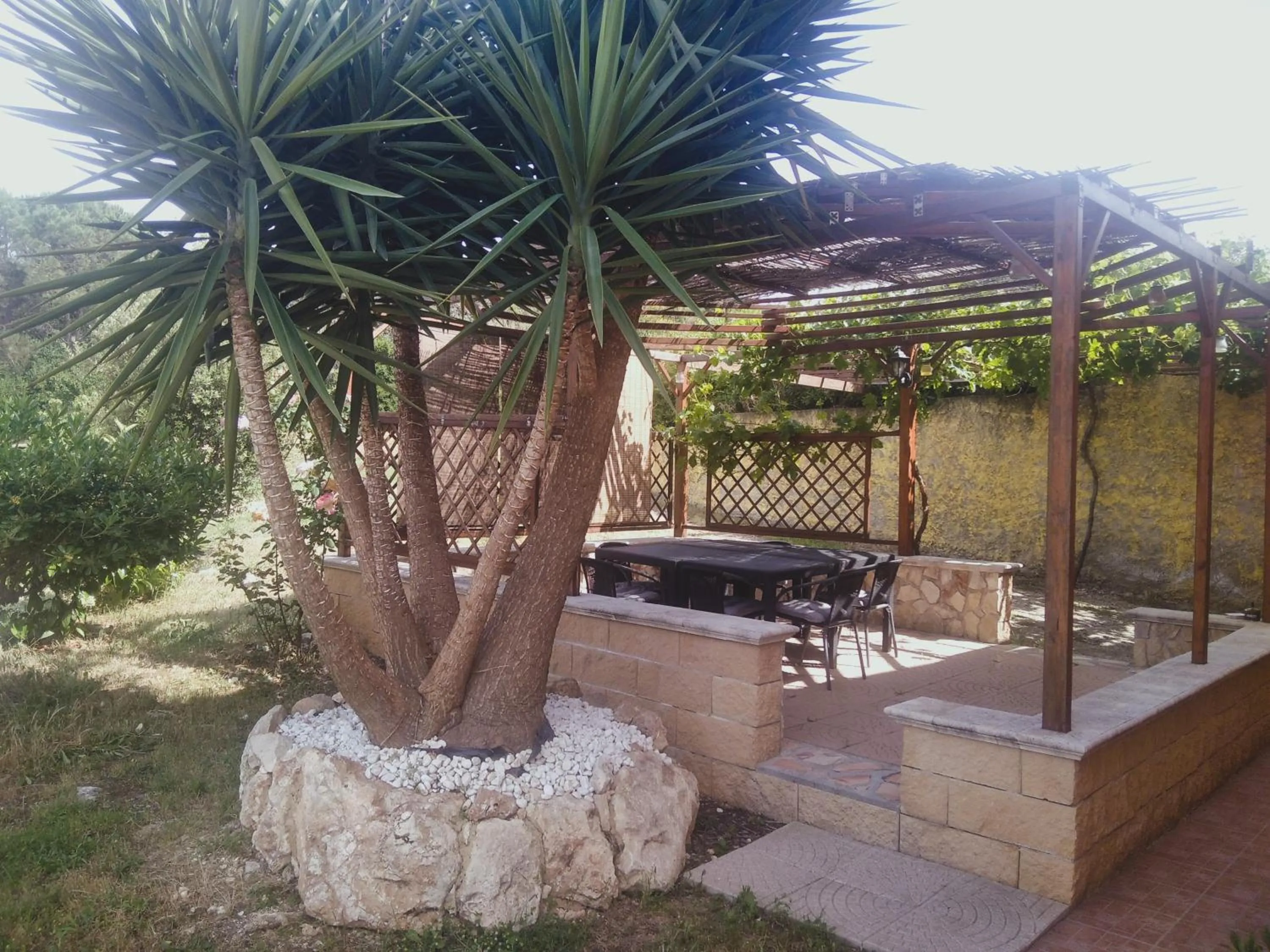 Restaurant/places to eat in Grotta Delle Fate