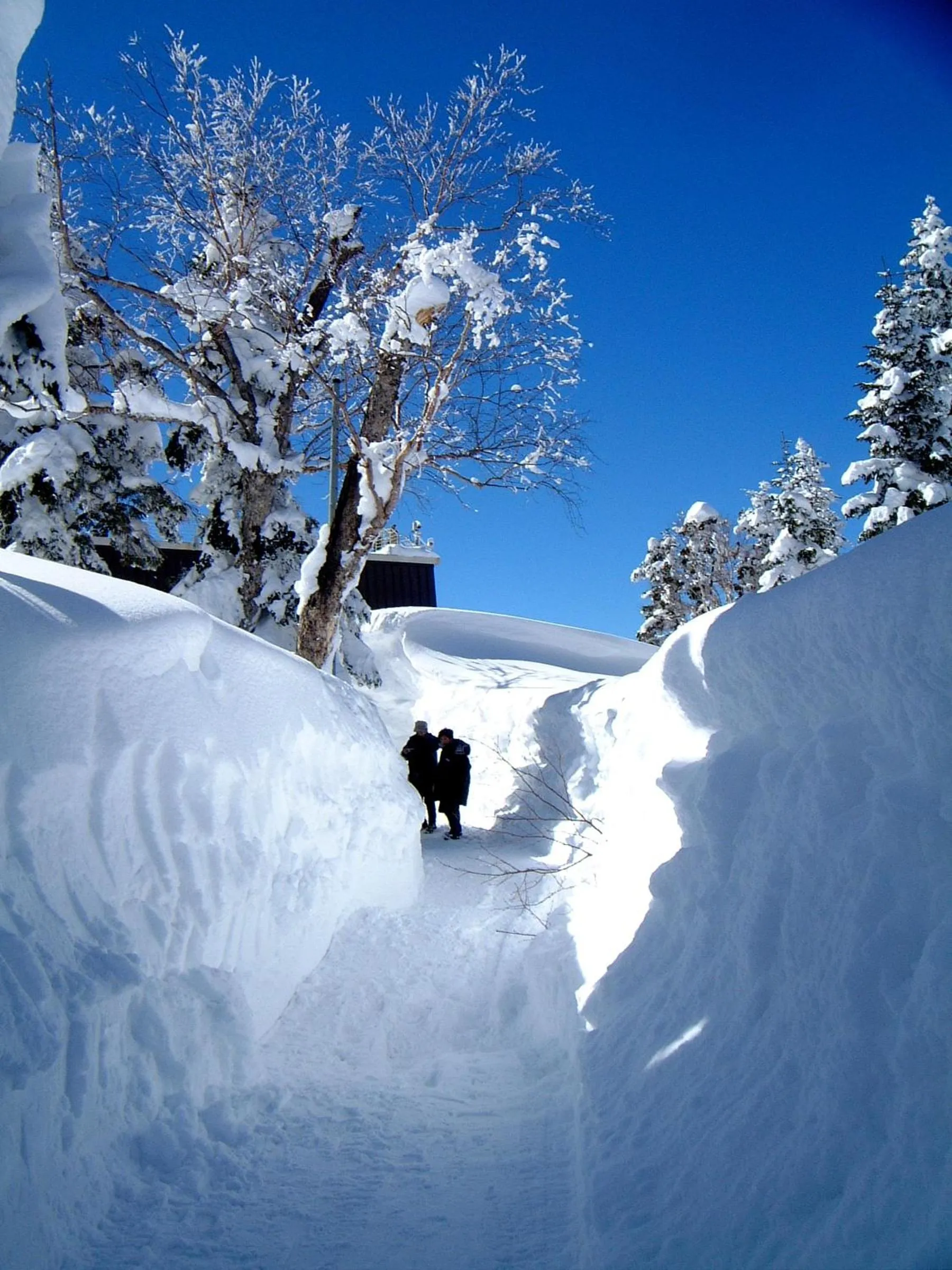 Other in Minshuku Takizawa
