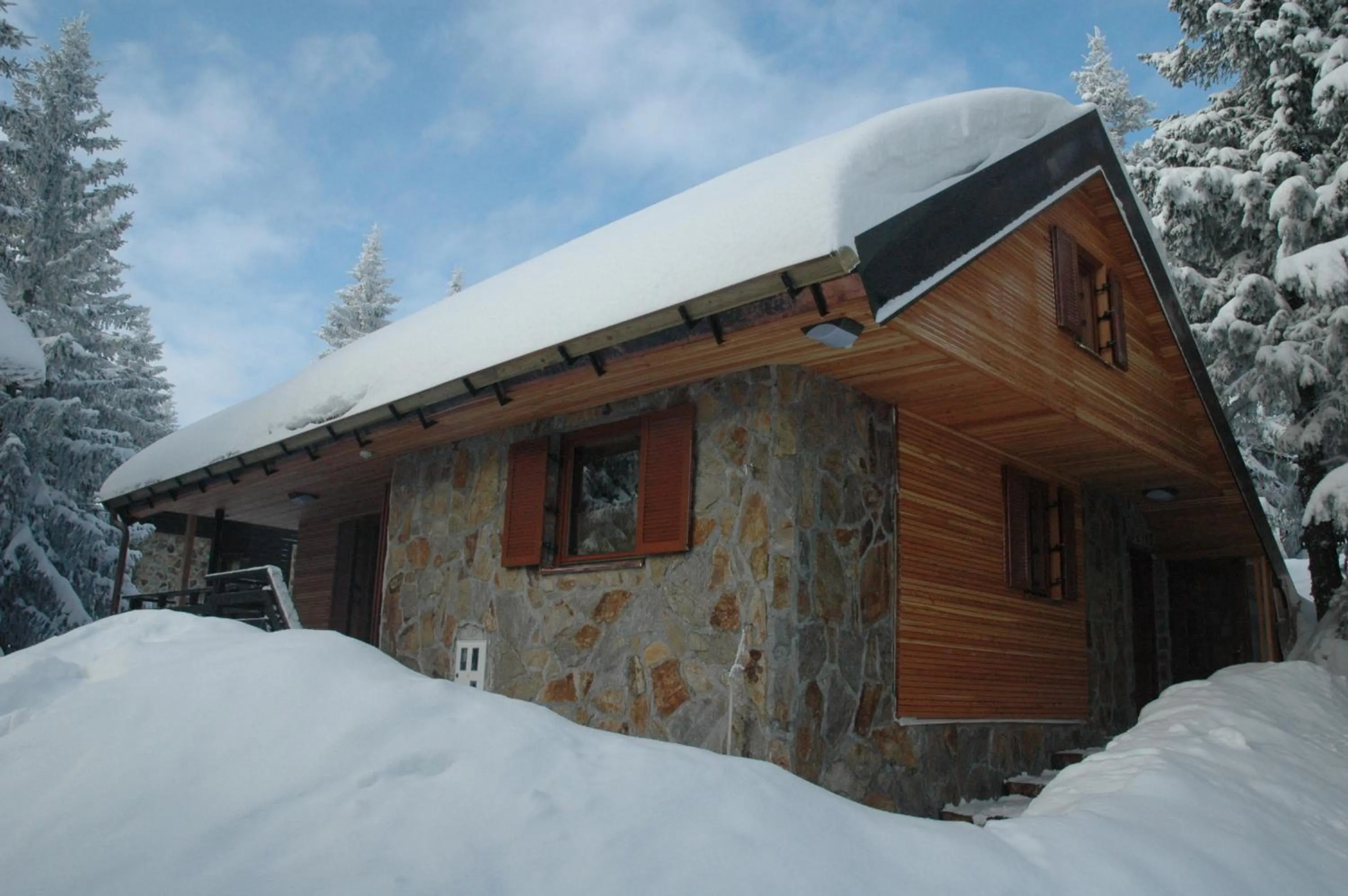 Apartment Cokla Rogla