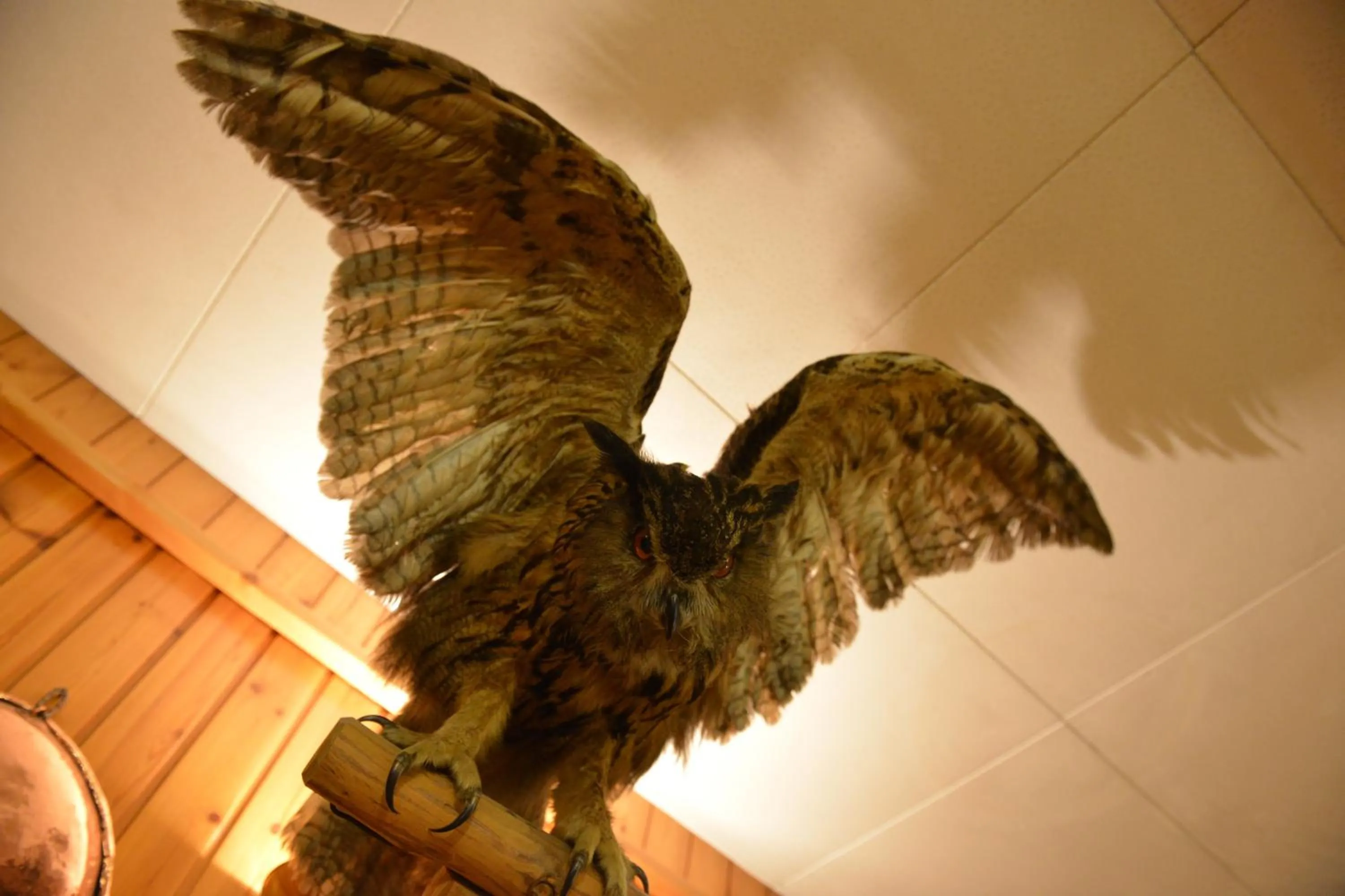 Property building in Hotel Gufo