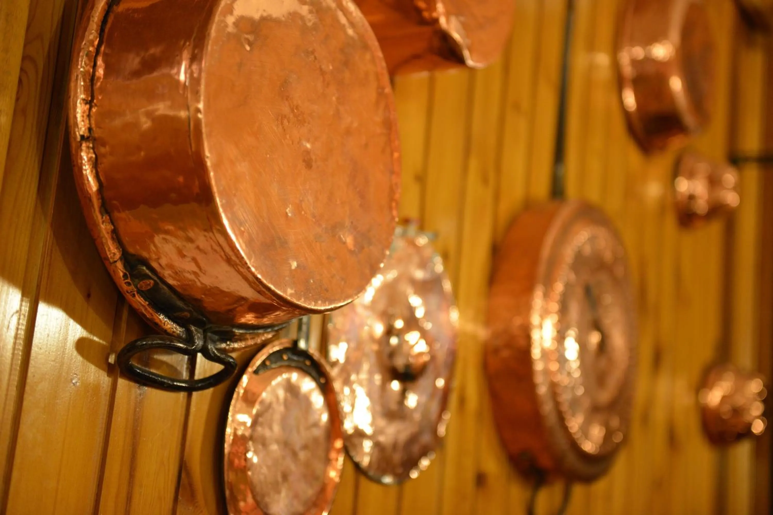 Property building in Hotel Gufo