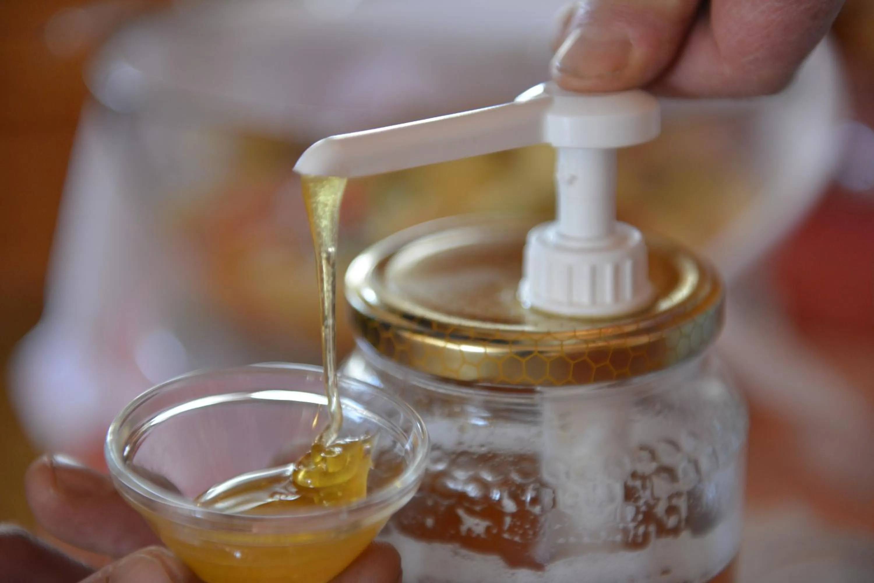 Food close-up in Hotel Gufo