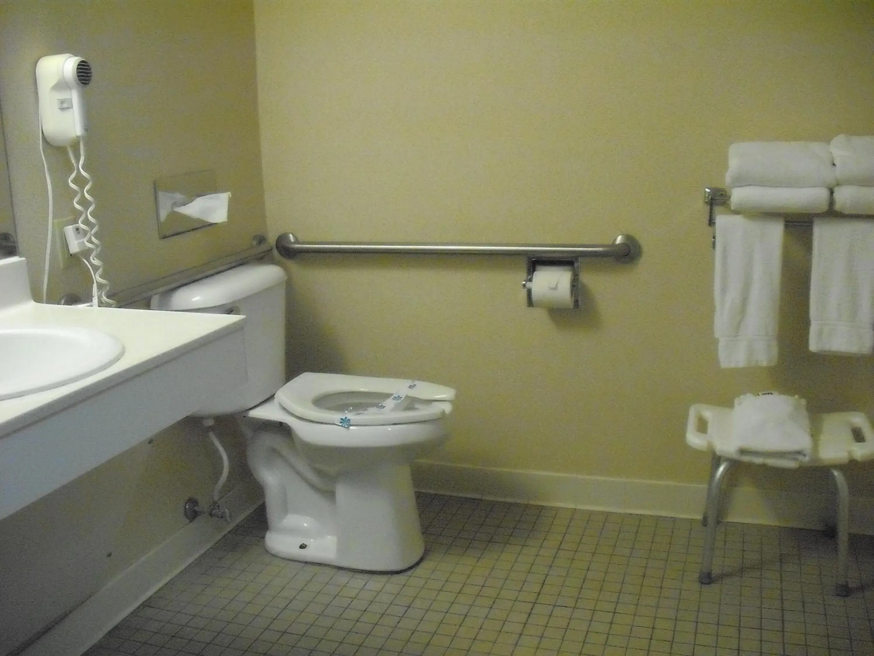 Double Room - Disability Access in Mountain Inn & Suites Double Room - Disability Access in Mountain Inn & Suites