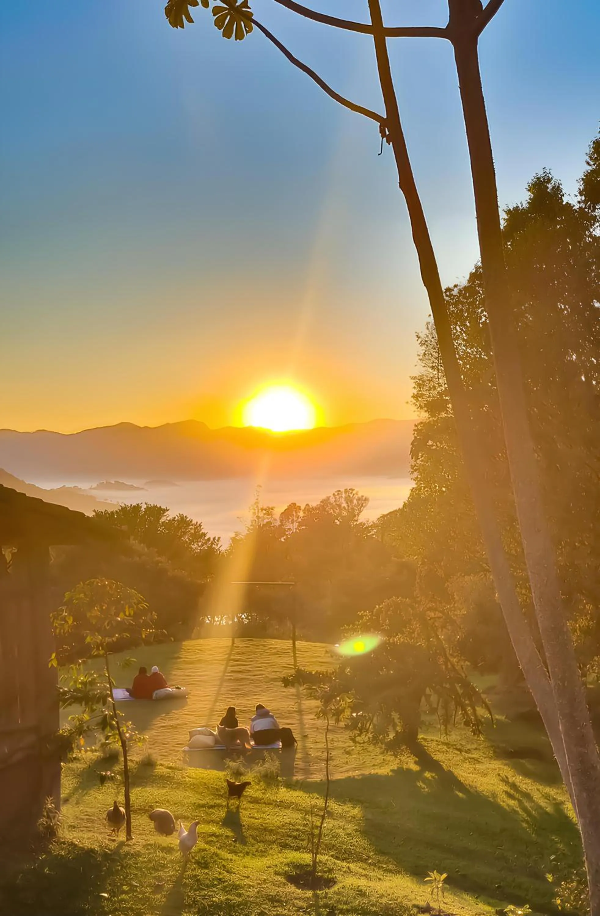 Hospedaria Vida na Roça