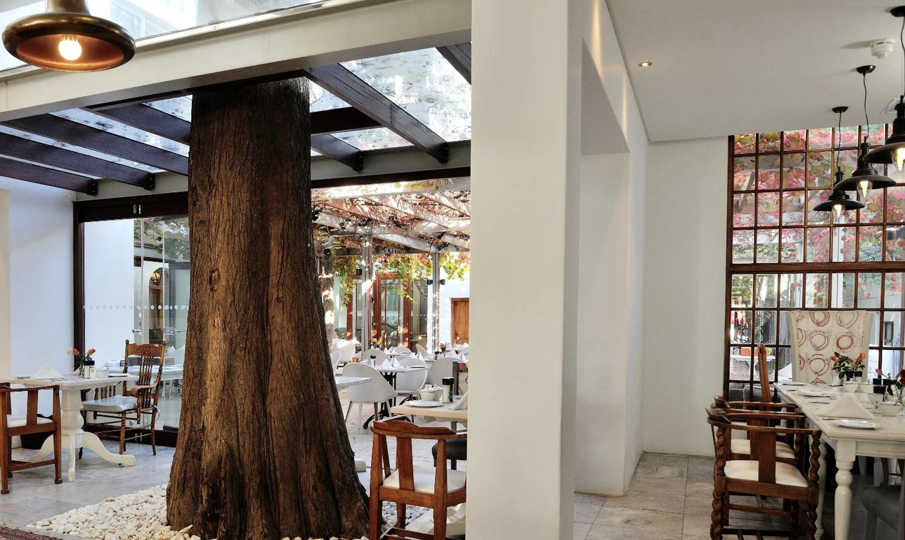 Restaurant/places to eat in Oude Werf Hotel