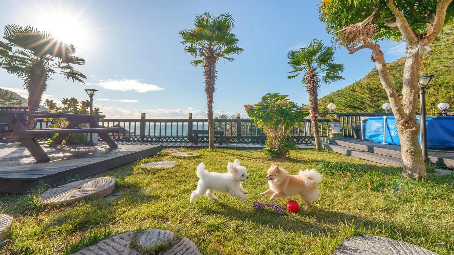 Property building in geoje yeoul pet-friendly pension