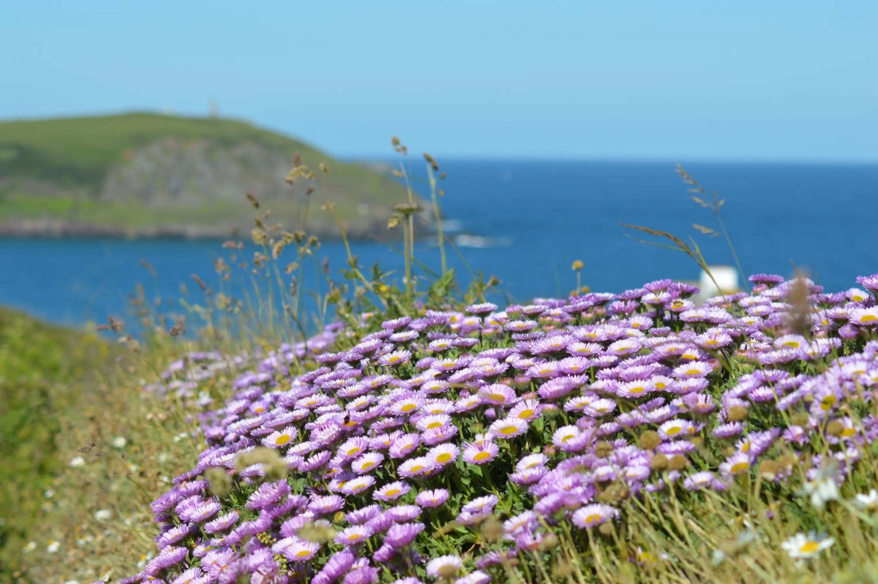 Sea view in St Moritz Hotel and Cowshed Spa