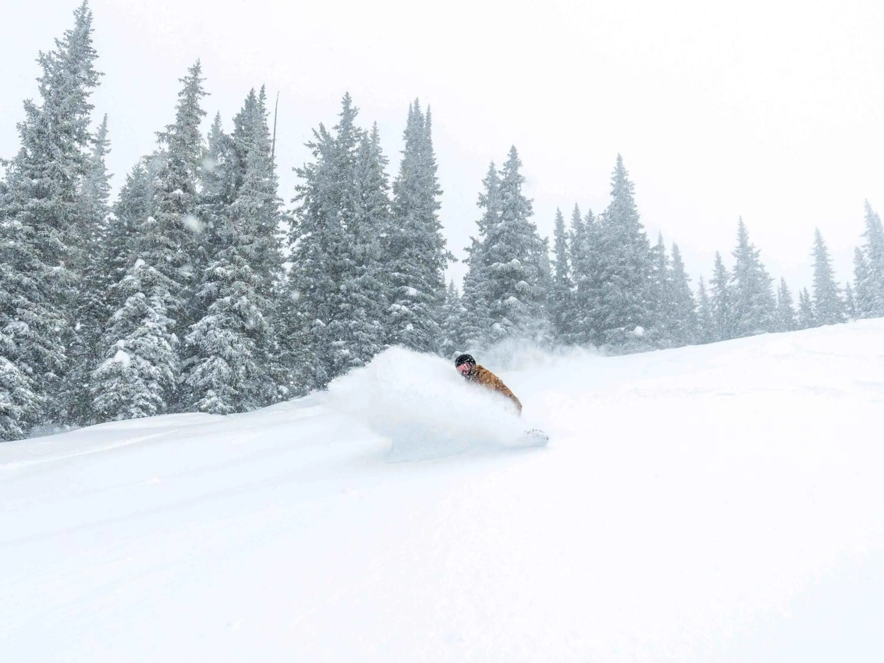 Enzian - CoralTree Residence Collection