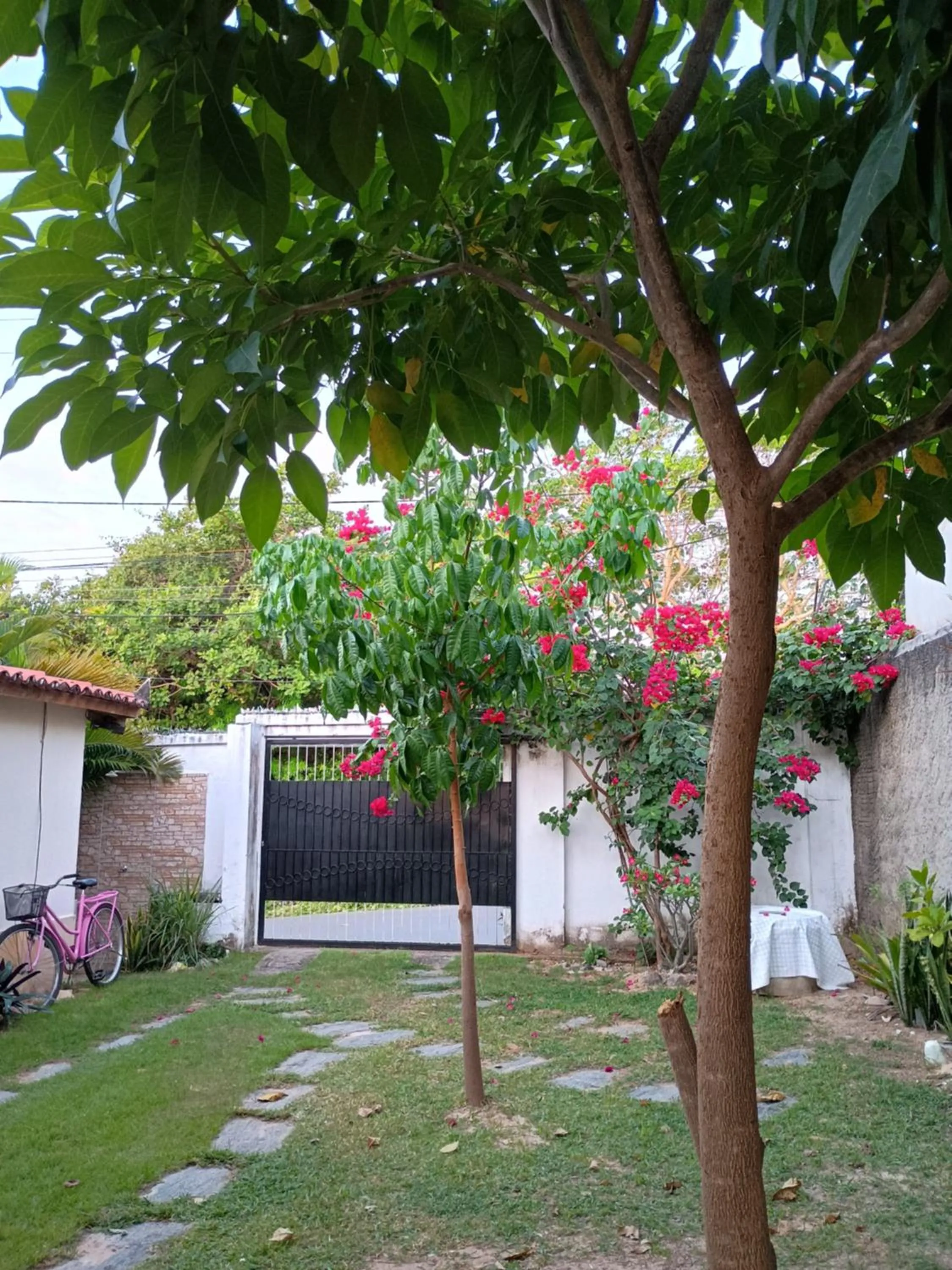 Garden in B&B Pedra do Meio