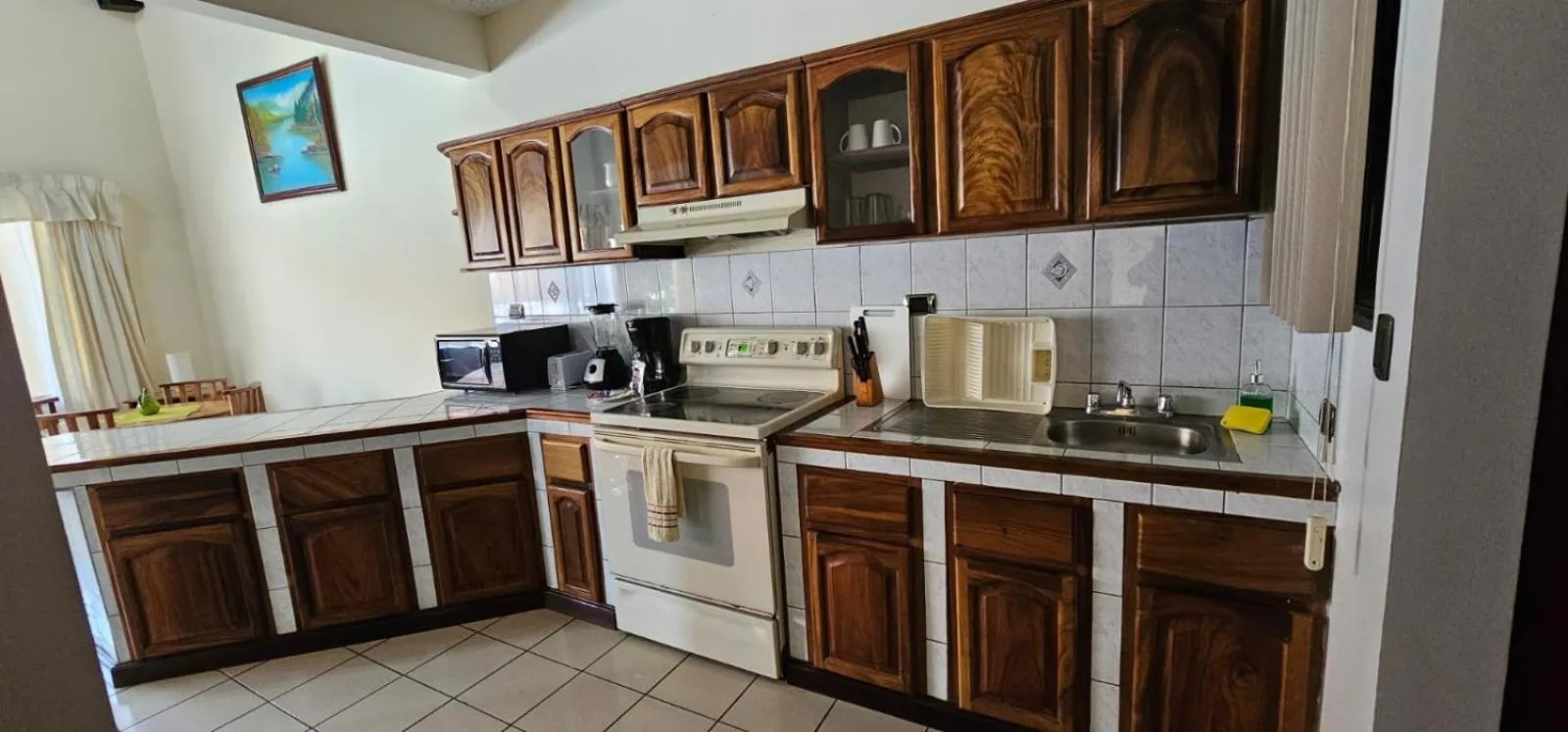 Kitchen or kitchenette in Apartotel Obelisco San José Aeropuerto