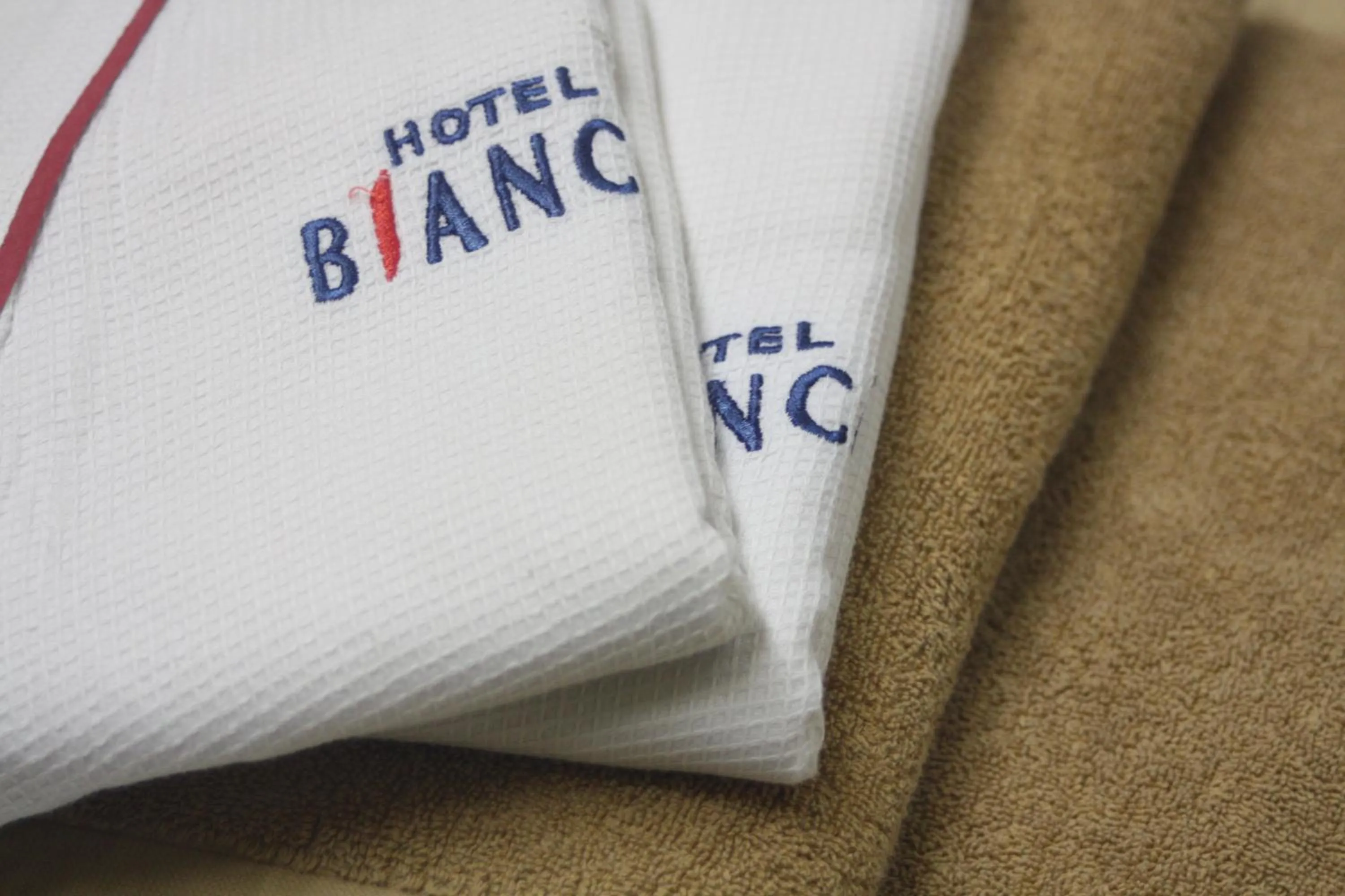 Area and facilities in Hotel Bianca Due (Adult Only)
