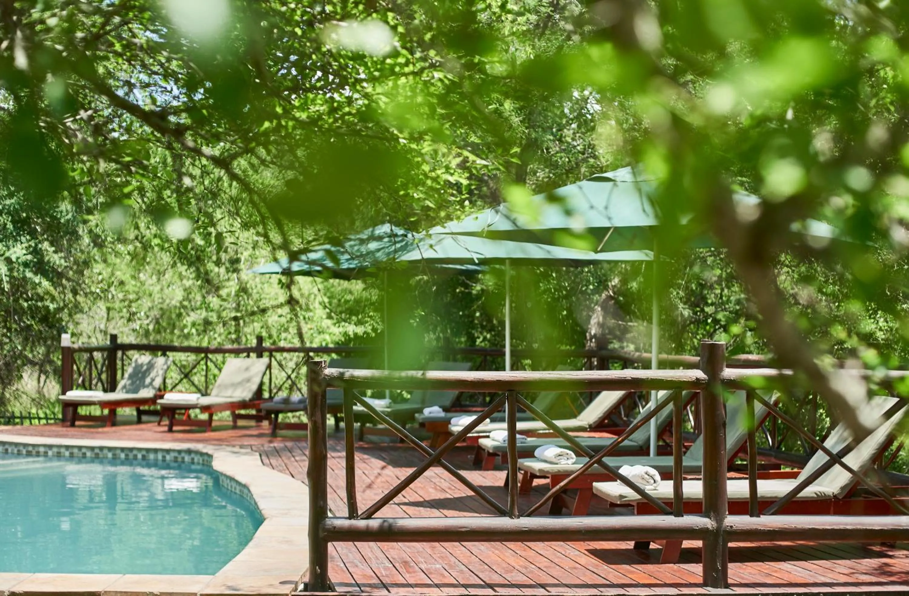 Swimming pool in Grand Kruger Lodge and Spa