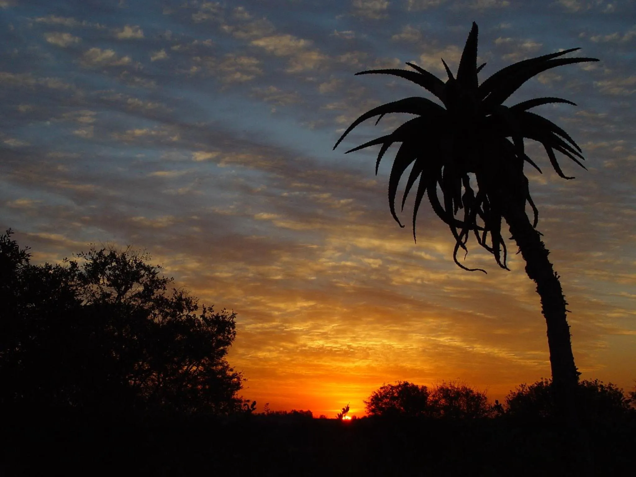Night in Grand Kruger Lodge and Spa