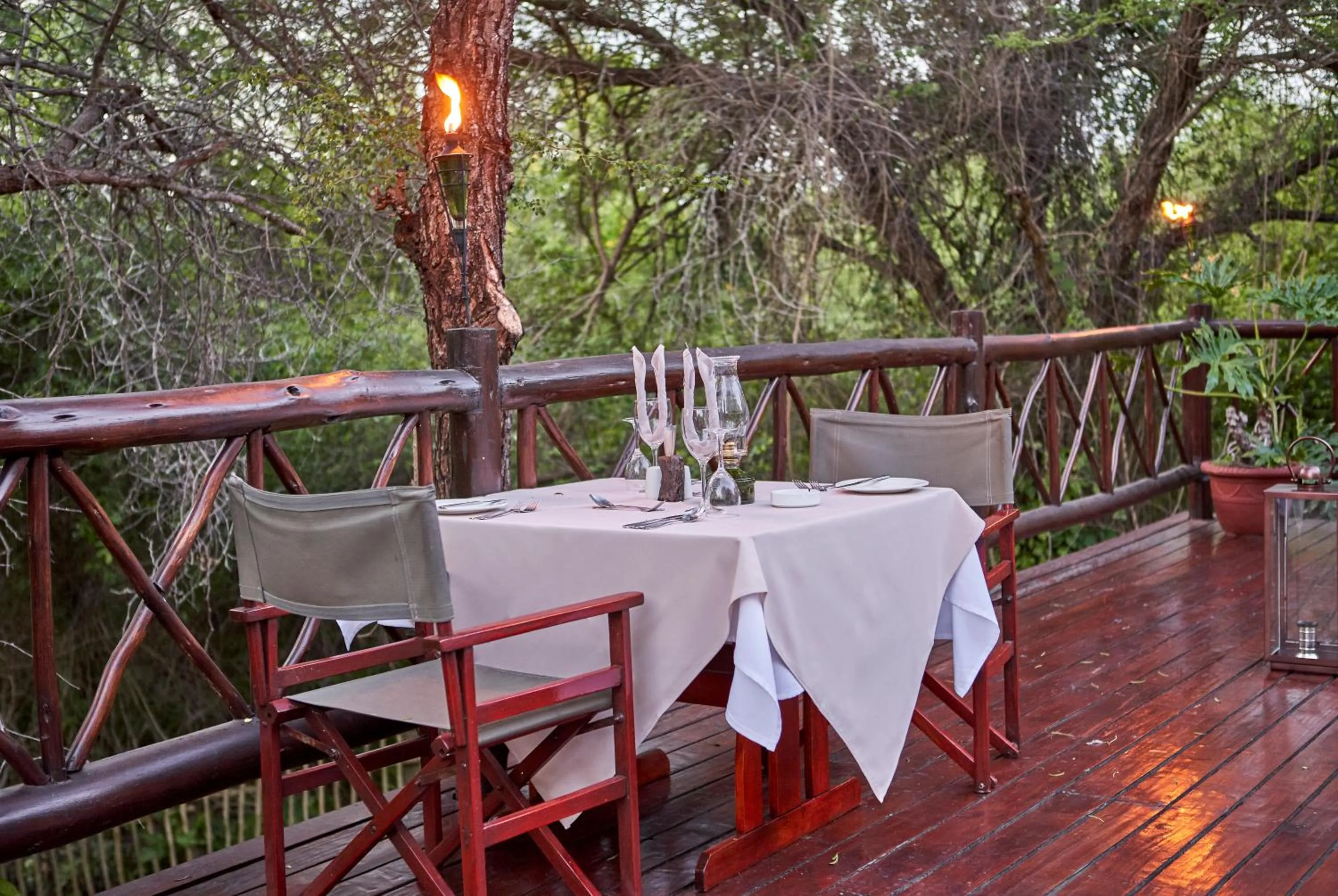 Restaurant/places to eat in Grand Kruger Lodge and Spa
