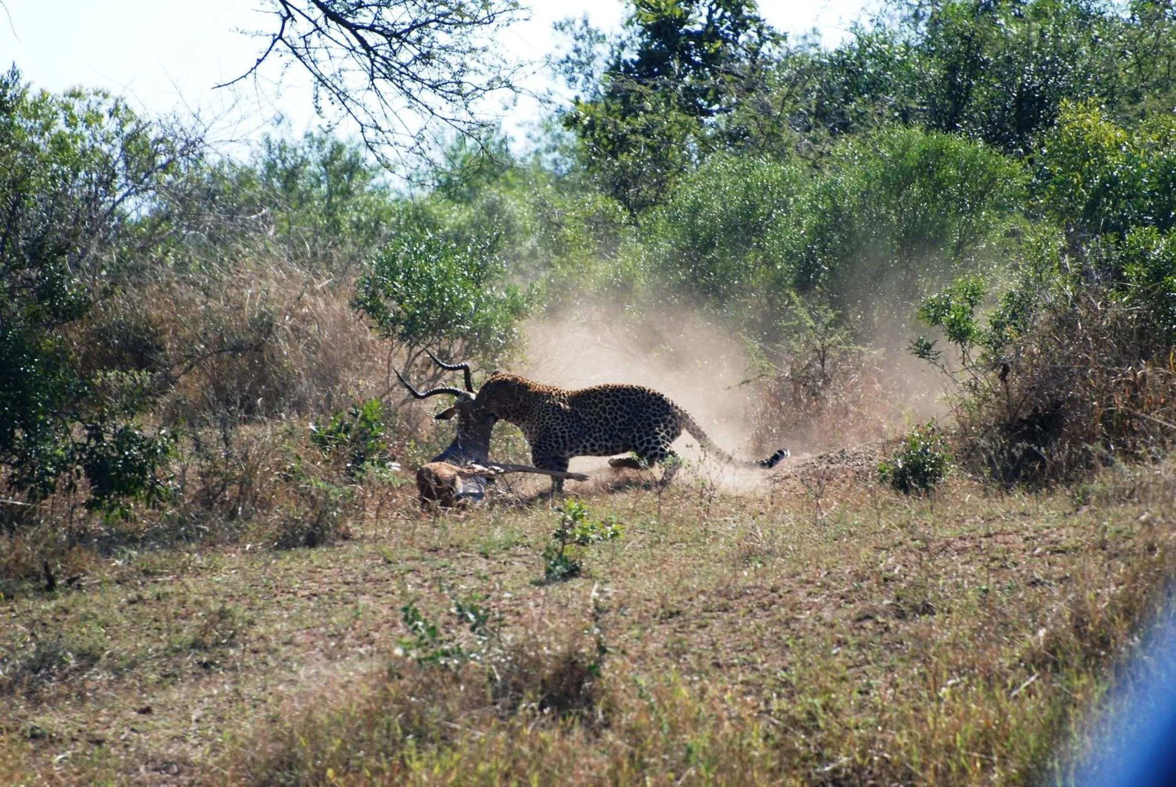 Facade/entrance in Grand Kruger Lodge and Spa