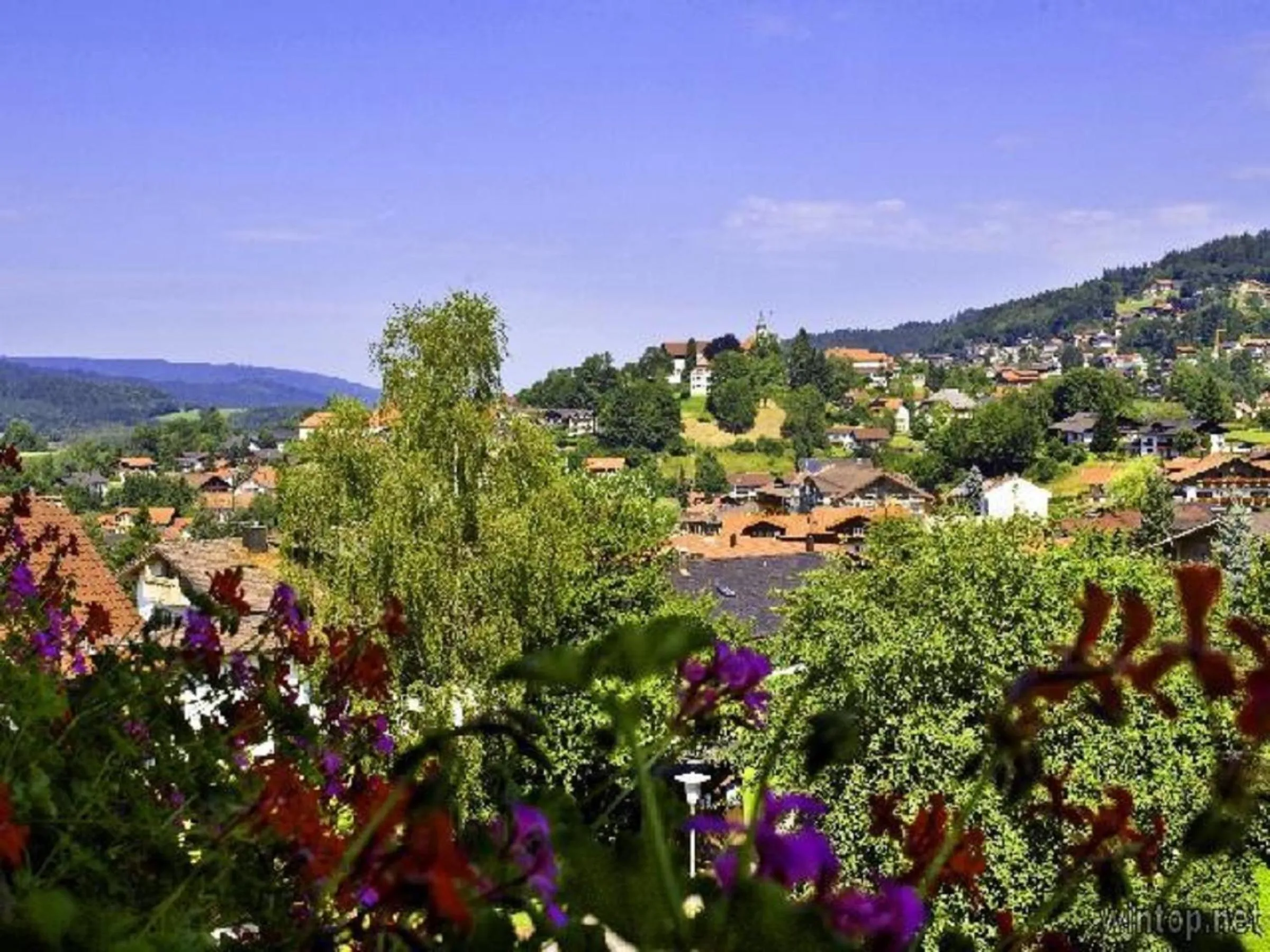 View (from property/room) in Ferienhaus Isolde