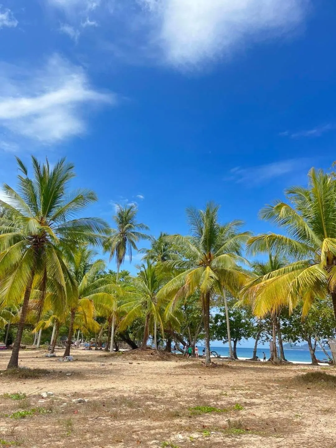 Koh Mook Garden Beach Resort