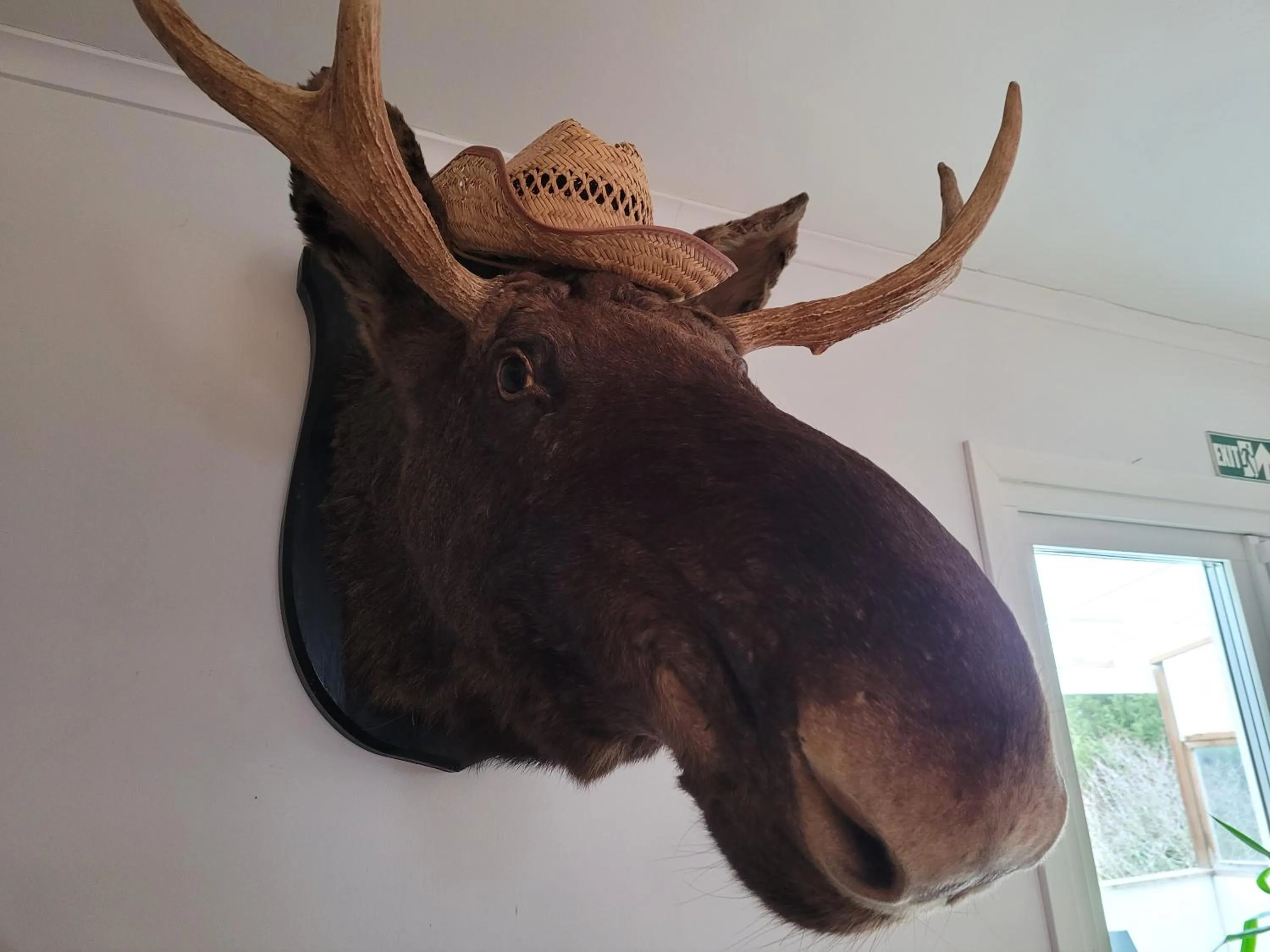 Decorative detail in Landvetter BnB