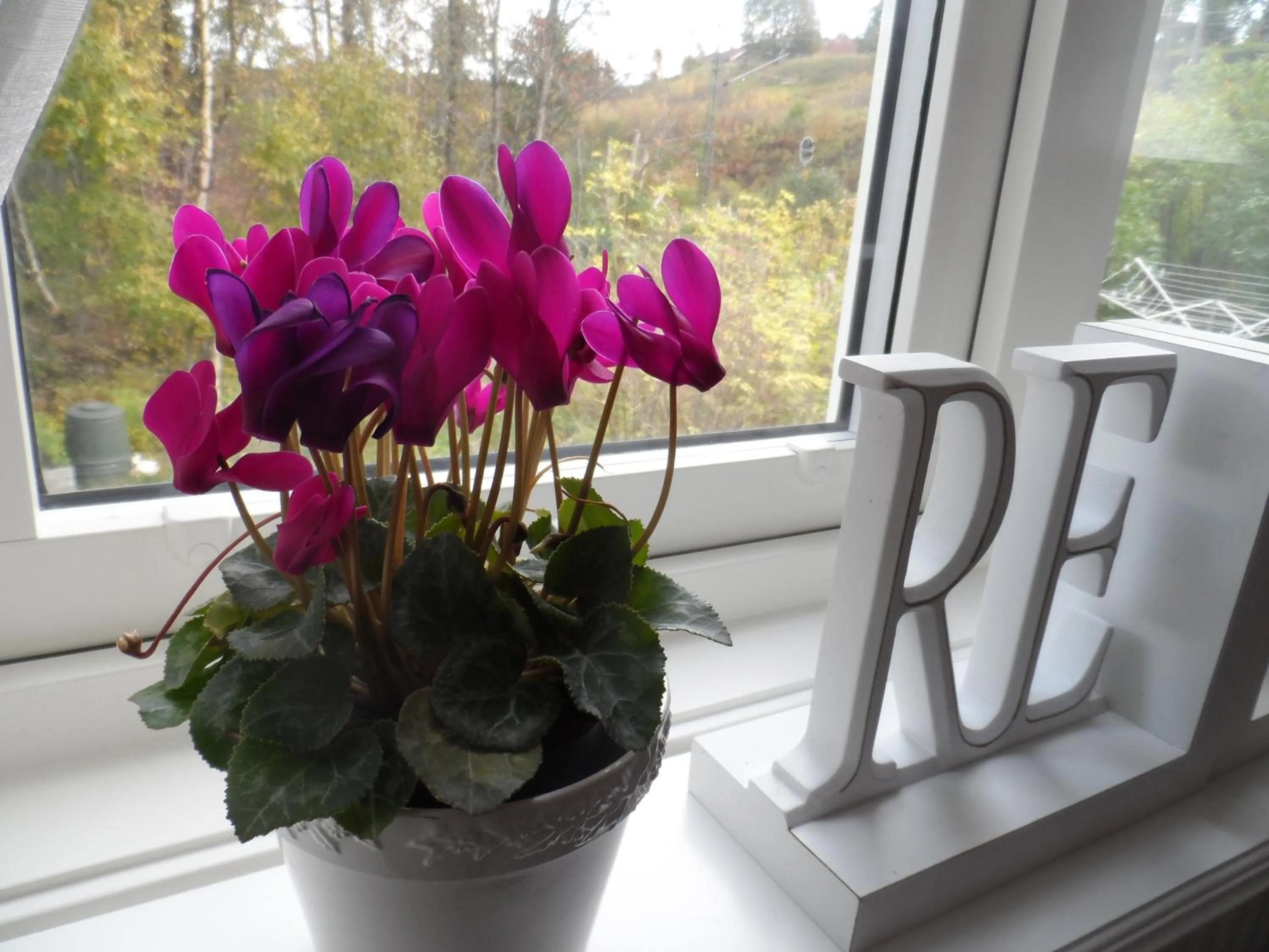 Decorative detail in Landvetter BnB